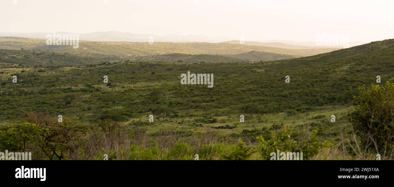 Riserva naturale del Parco di Hluhluwe Imfolozi Sudafrica Foto Stock