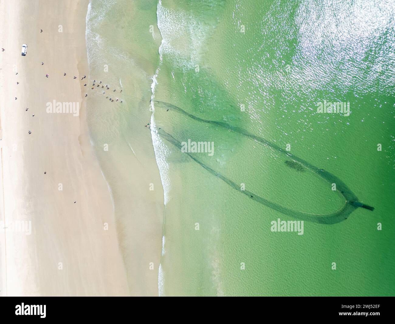 Fai trekking ai pescatori, tira le reti da pesca con pescato a coda gialla, Fish Hoek, città del Capo, Sudafrica Foto Stock