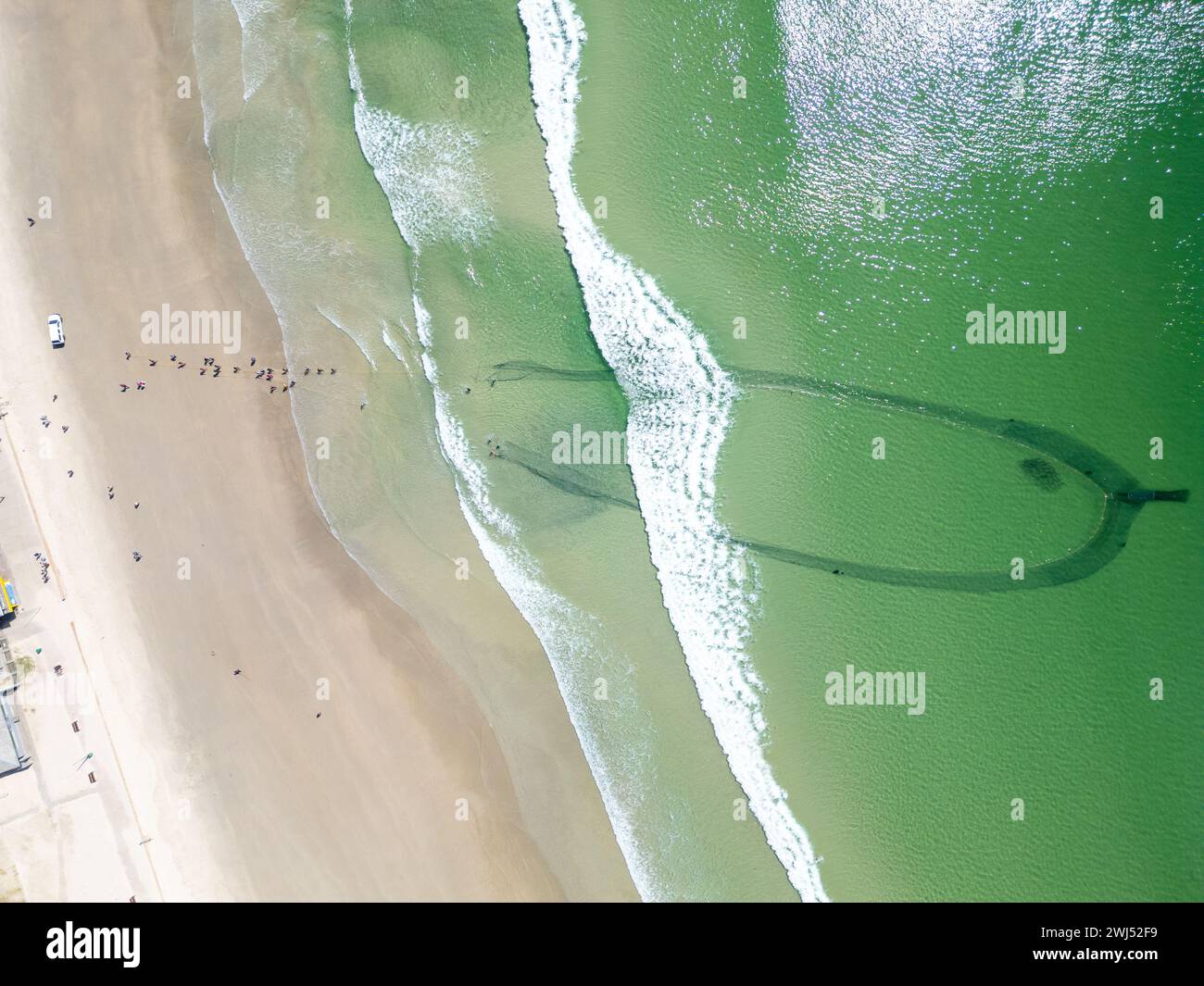Fai trekking ai pescatori, tira le reti da pesca con pescato a coda gialla, Fish Hoek, città del Capo, Sudafrica Foto Stock