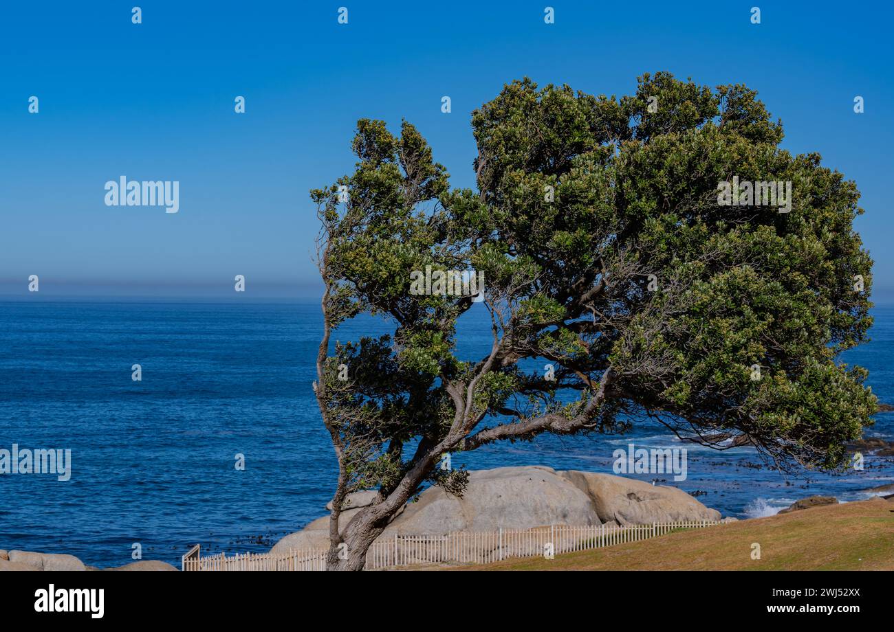 Costa dell'Atlantico meridionale vicino a città del Capo, Sudafrica Foto Stock