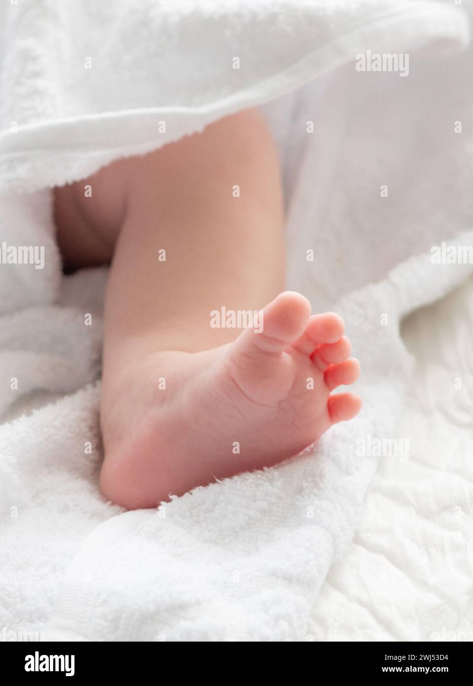 Sussurri di vita: Il piede del bambino fuoriesce da un asciugamano Foto Stock