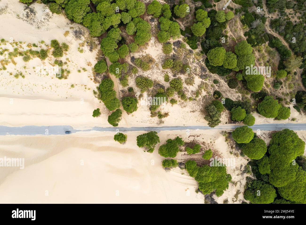 Dune di sabbia nella regione di Cadice, Andalusia, Spagna Foto Stock