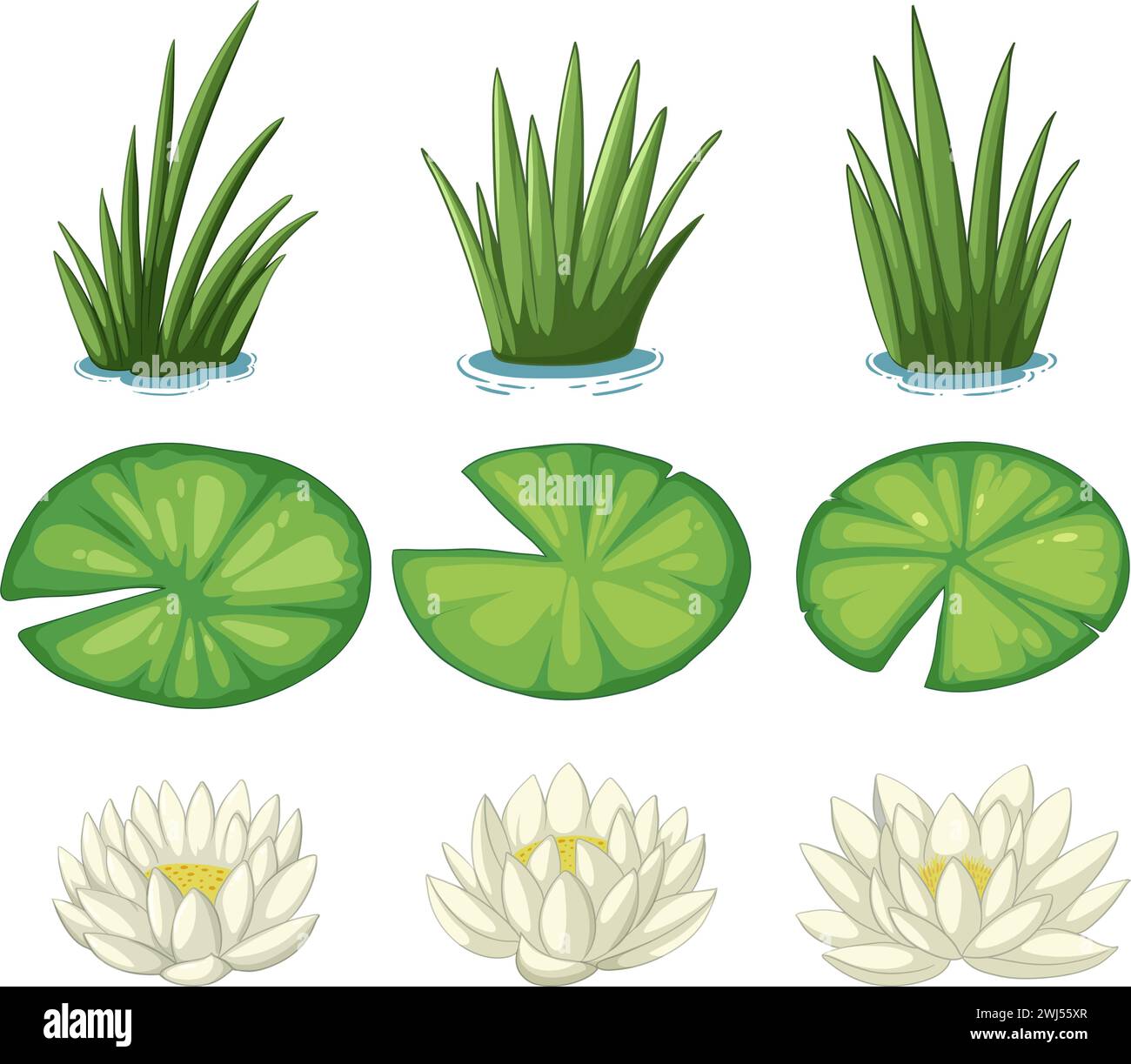 Illustrazioni vettoriali di varie piante idriche. Illustrazione Vettoriale