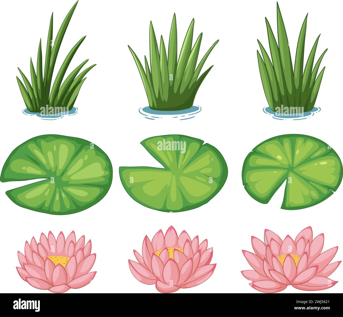 Illustrazioni vettoriali di piante e fiori acquatici. Illustrazione Vettoriale