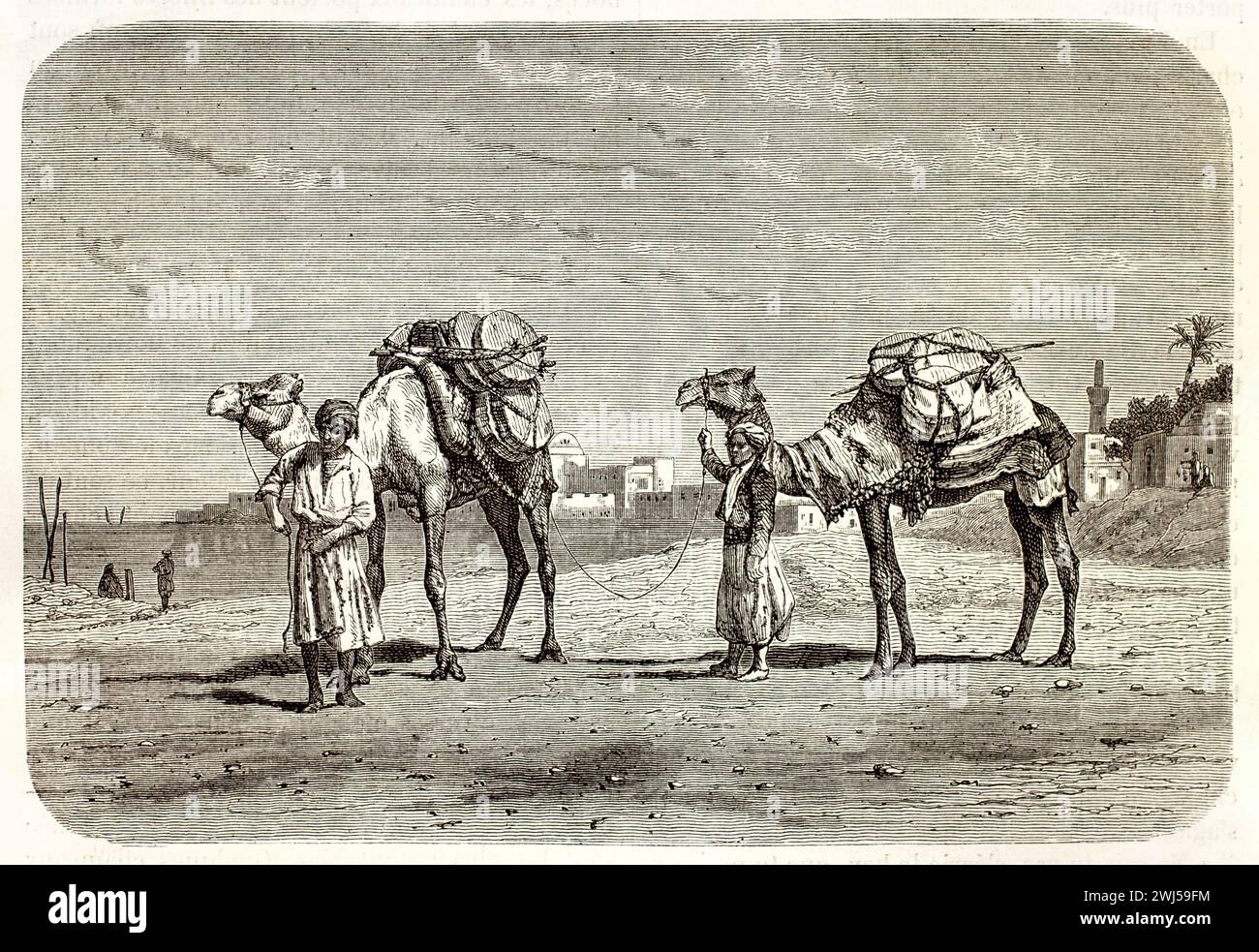 Pack cammelli guidati dai beduini attraverso un paesaggio desertico nordafricano, illustrazione vintage da Les Mammifères di Brehm, pubblicato nel 1878. Foto Stock