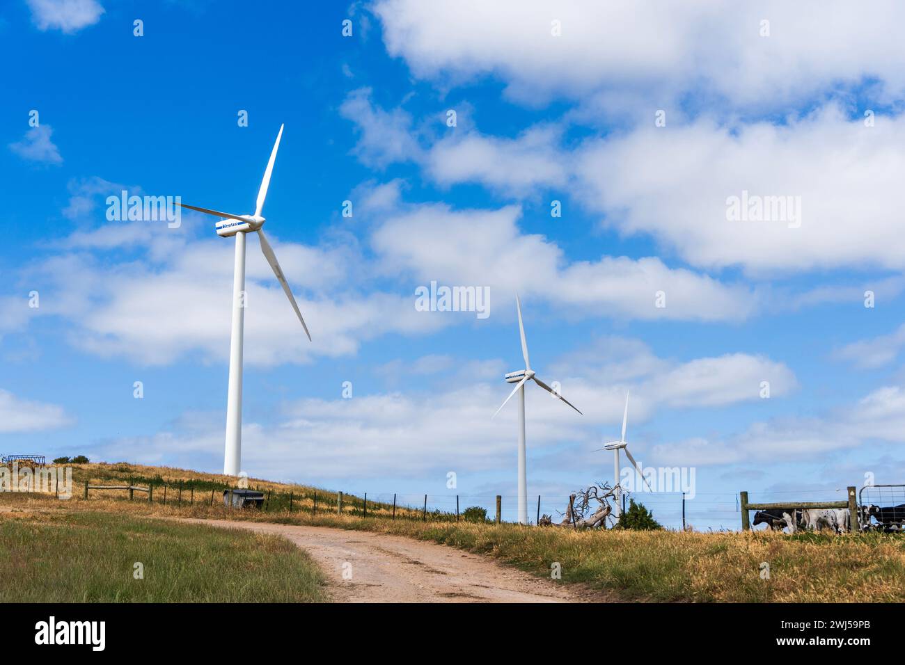 Turbine eoliche sulla Woakwine Range Wind Farm Tourist Drive, Australia meridionale. Foto Stock