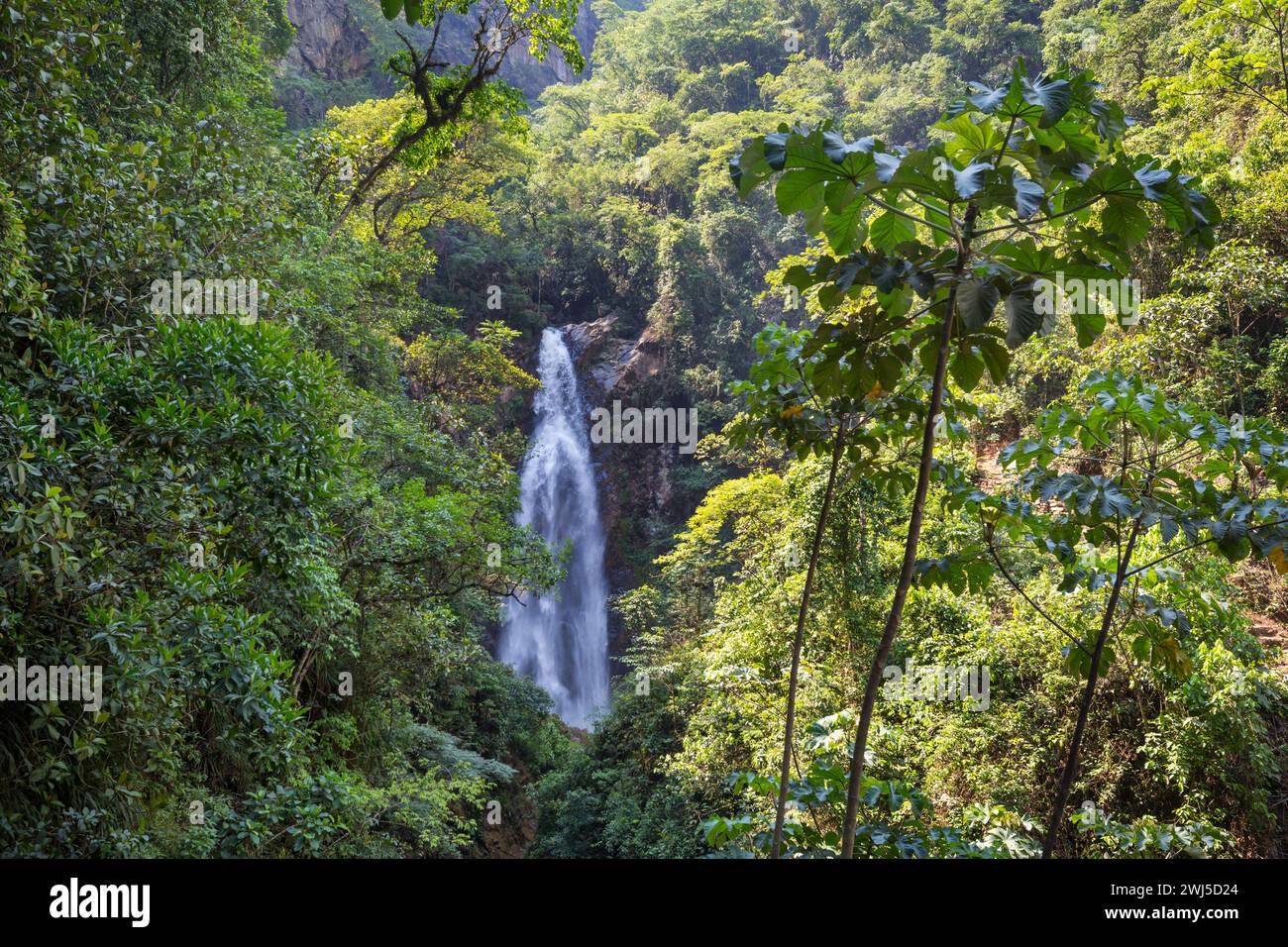 Cascata in Bolivia Foto Stock