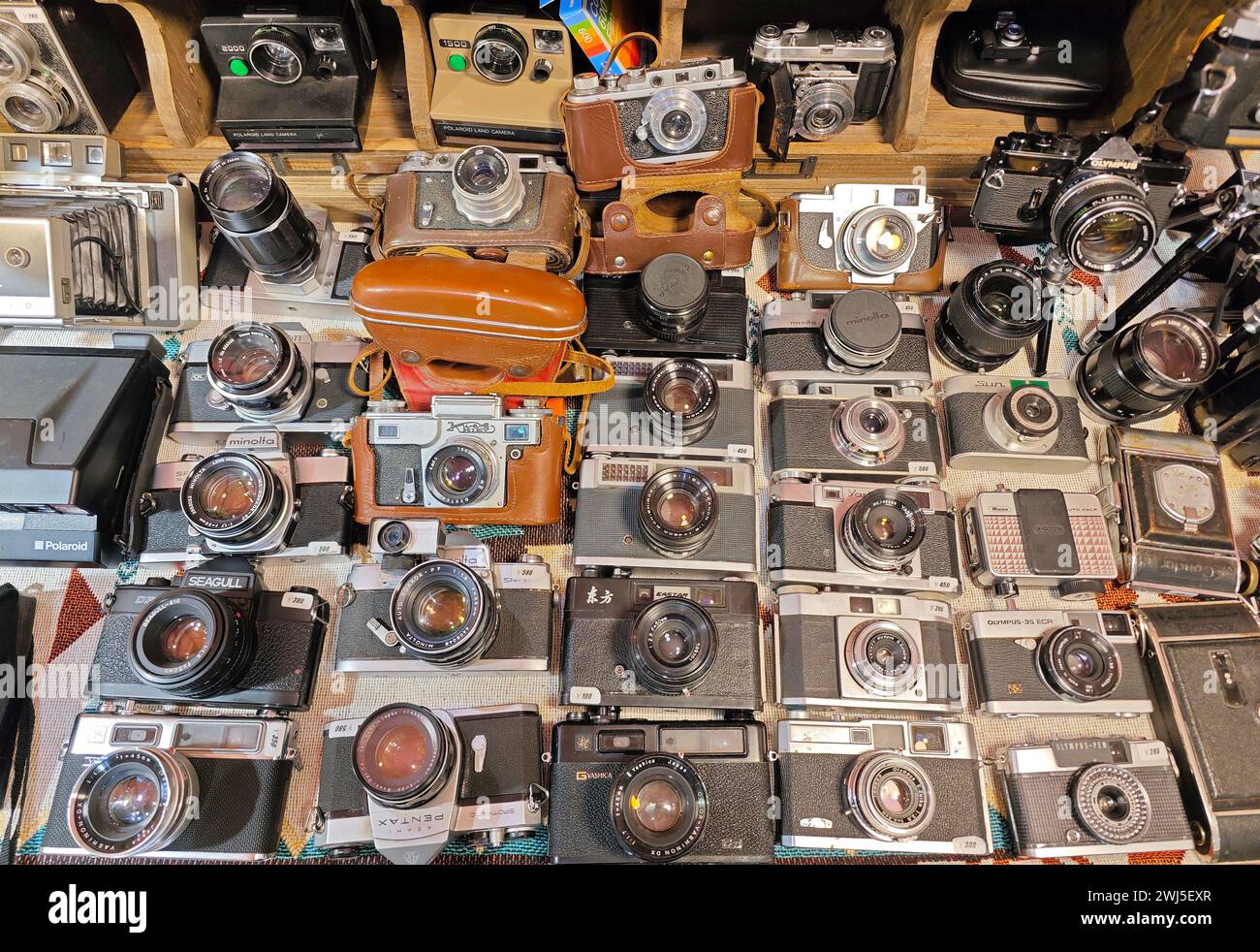 PECHINO, CINA - 5 FEBBRAIO 2024 - le fotocamere d'epoca sono esposte dai collezionisti a Pechino, Cina, 5 febbraio 2024. Foto Stock
