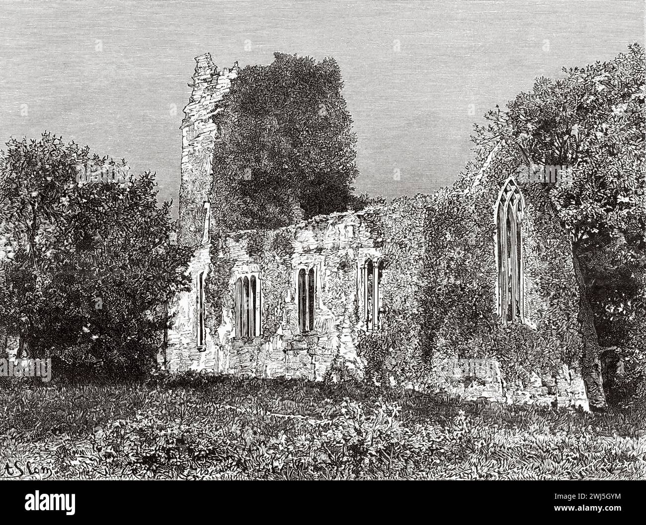 Abbazia di Muckross, fondata nel 1448 come convento francescano per i francescani Observantine da Donal McCarthy Mor. Killarney National Park, contea di Kerry. Repubblica d'Irlanda. Europa. Tre mesi in Irlanda di Miss Marie Anne De Bovet (1855 - 1935) Limerick and the Clare Coast 1889, le Tour du Monde 1890 Foto Stock