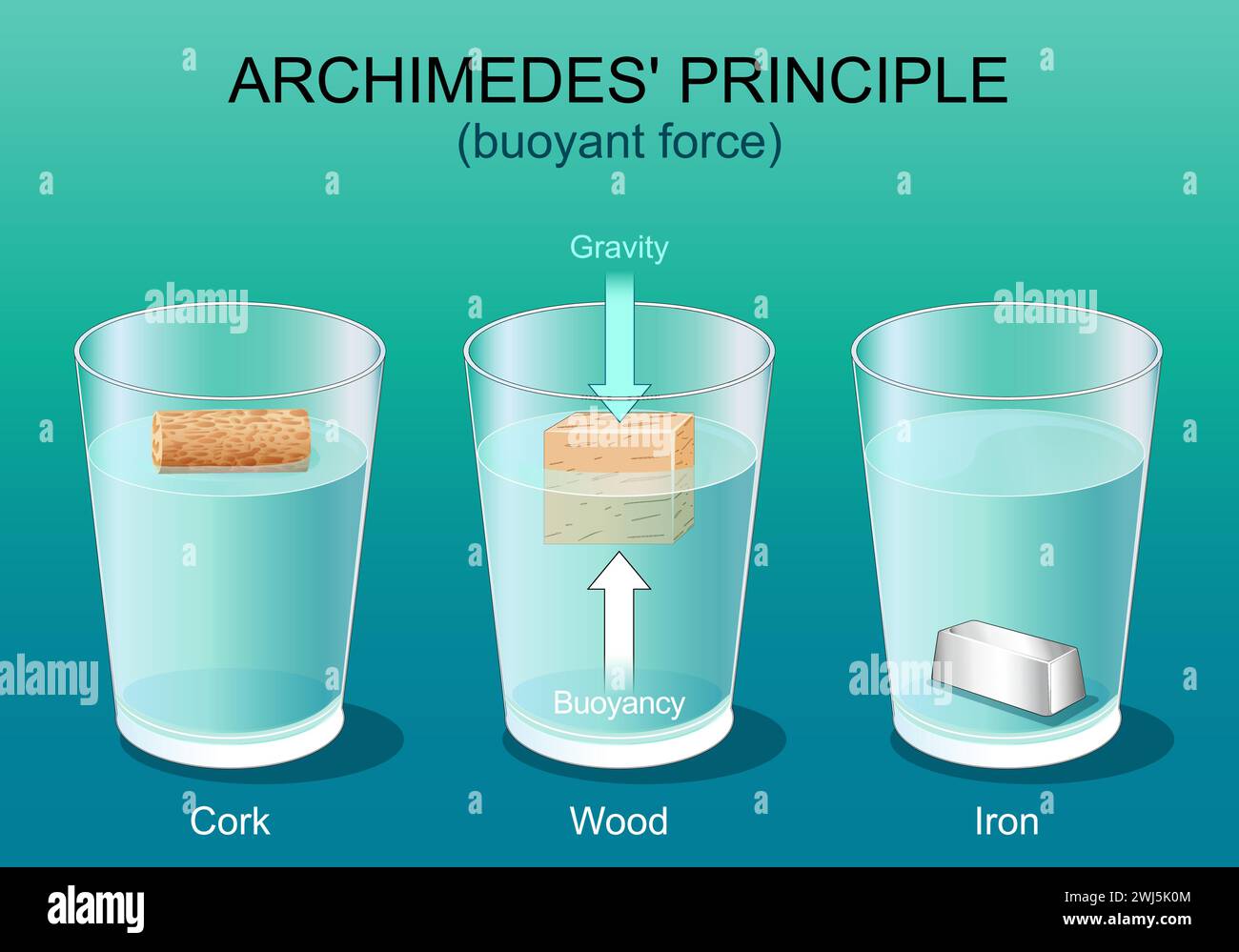 Principio di Archimede. Gravità e forza galleggiante. Tre bicchieri con acqua, ferro, legno e sughero. Corpi mobili. Legge fisica. Poster vettoriale. Isometri Illustrazione Vettoriale