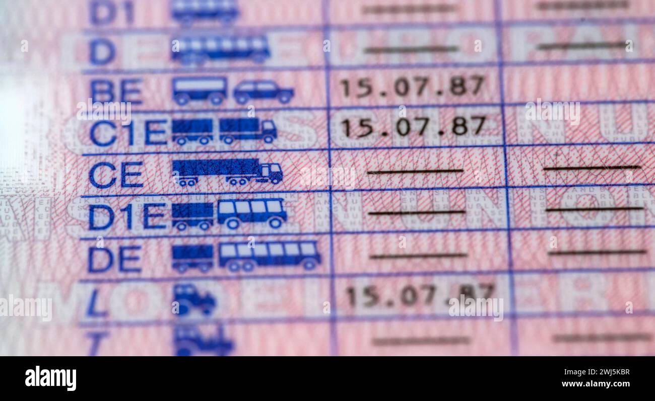 Wie Sehen Die Neuen Führerscheine Aus 12.02.2024, Führerscheine, Neue EU-Verordnung für Führerscheine, bis