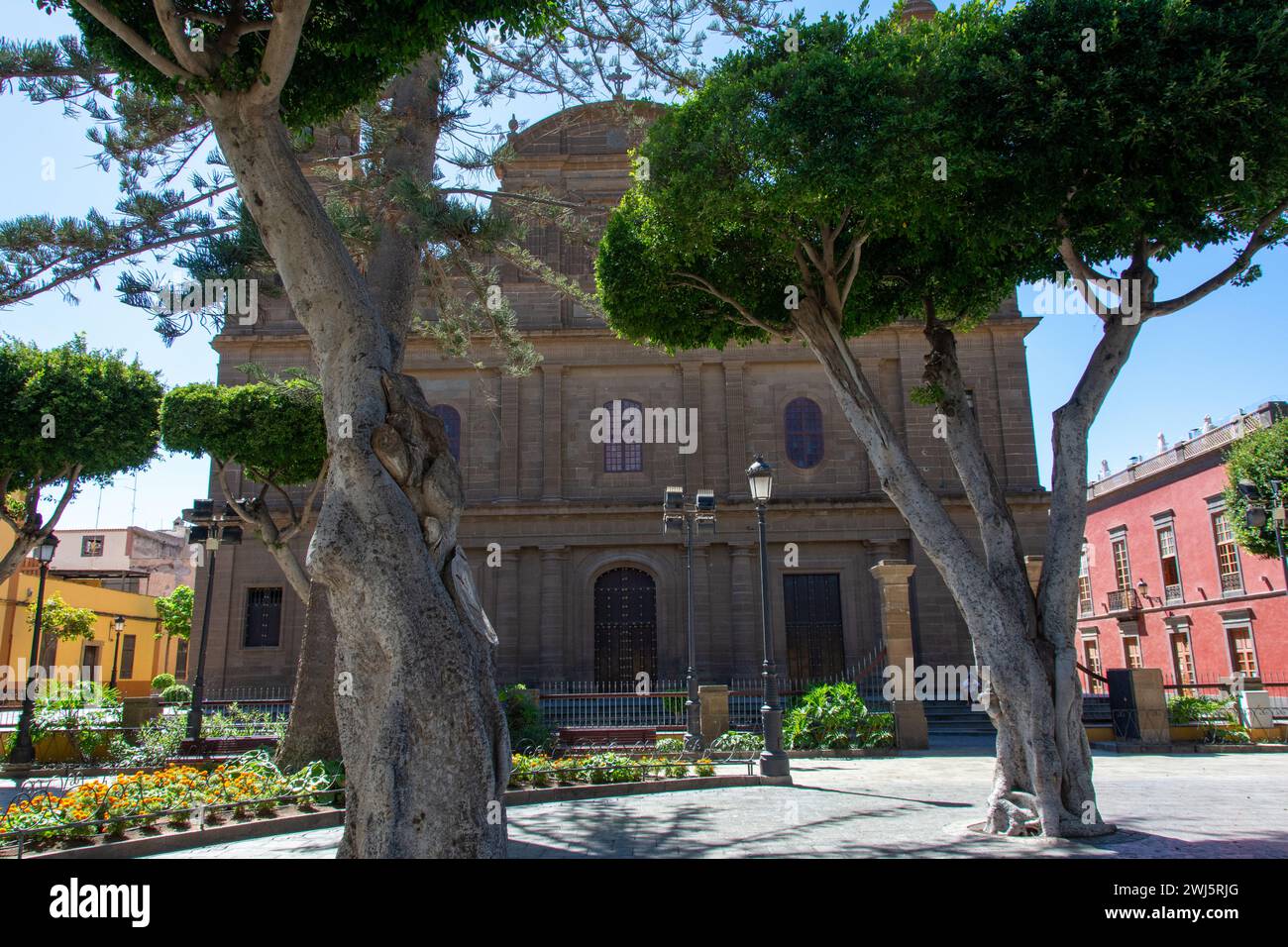 Alberi che si affacciano sulla chiesa di Santiago de los Caballeros nella città di Galdar sull'isola Canaria di Gran Canaria, in Europa Foto Stock