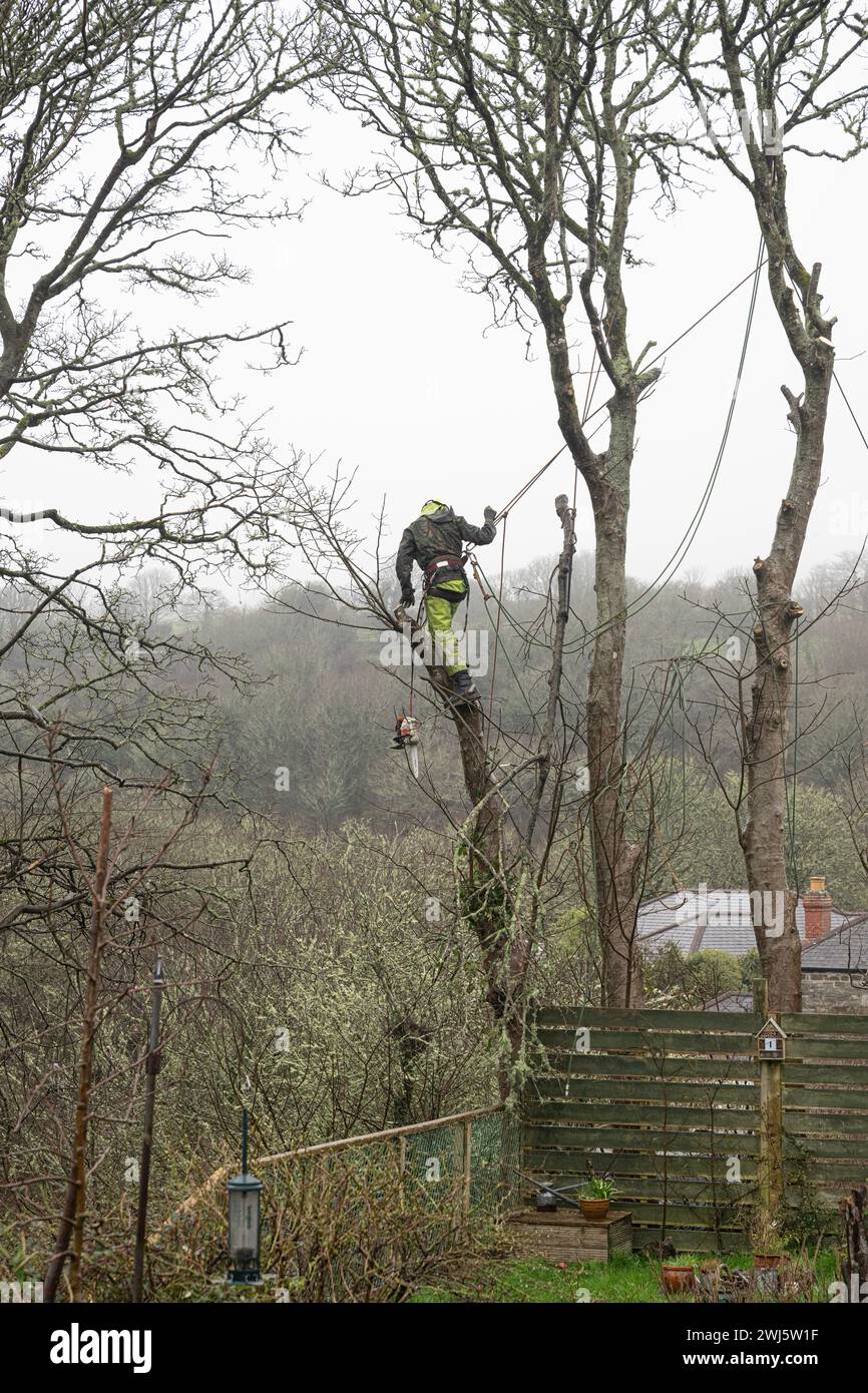 Maglietta T-Shirt Della Trasfigurazione Di Harry Potter Uomo Donna Bambini P253188 - Foto 8