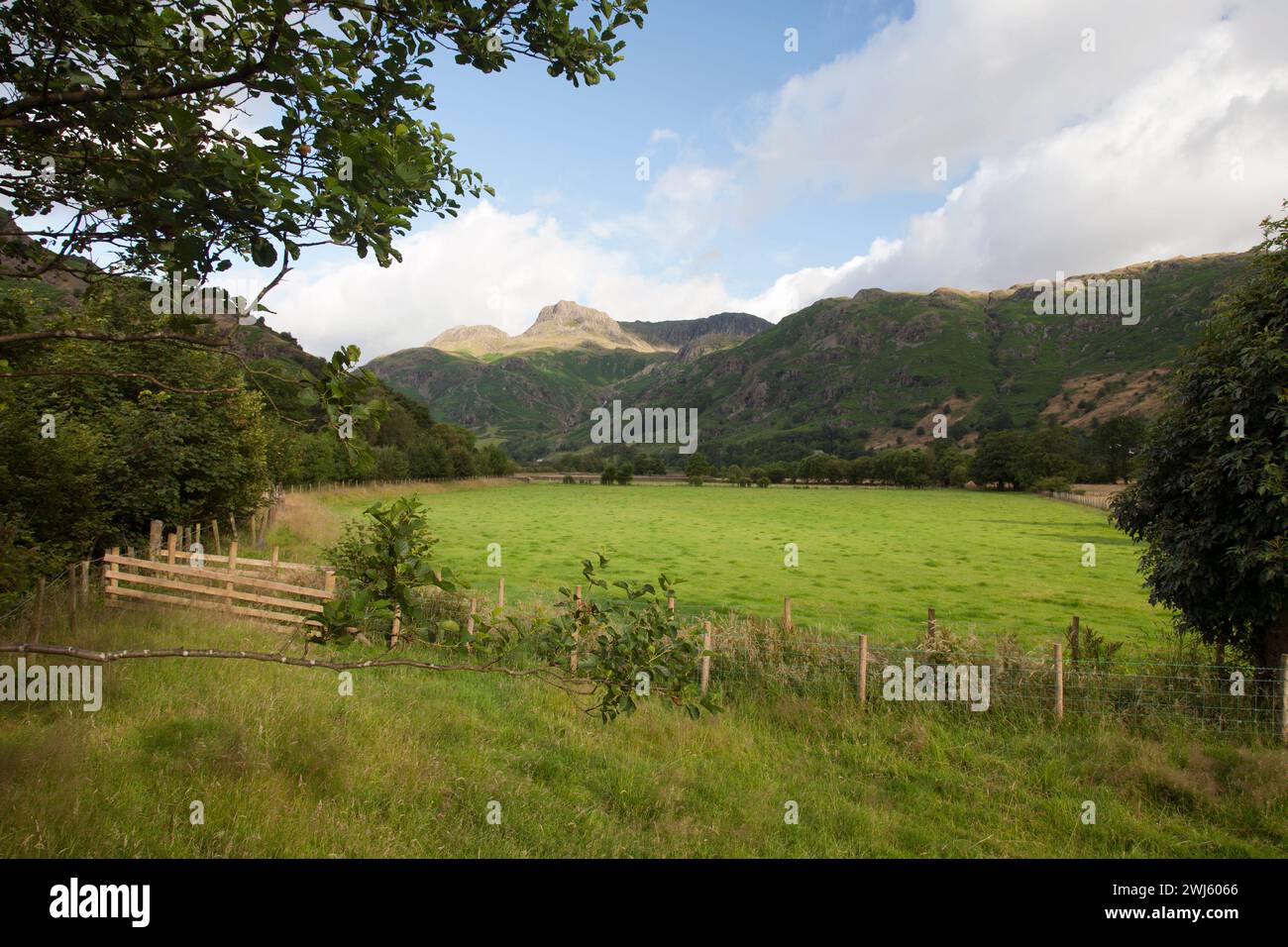 Regno Unito, Cumbria, Lake District, Langdale Valley e Langdale Pikes. Foto Stock