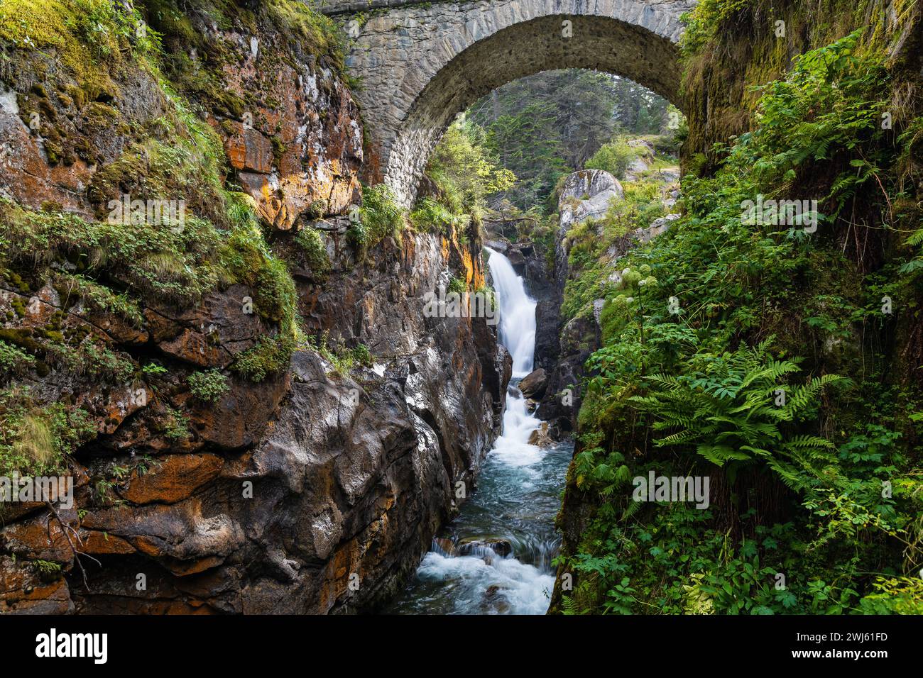 Gola rocciosa e torrente di montagna sotto il Pont d'Espagne (ponte spagnolo). Valle di Cauterets, Parco Nazionale dei Pirenei, Francia. Foto Stock