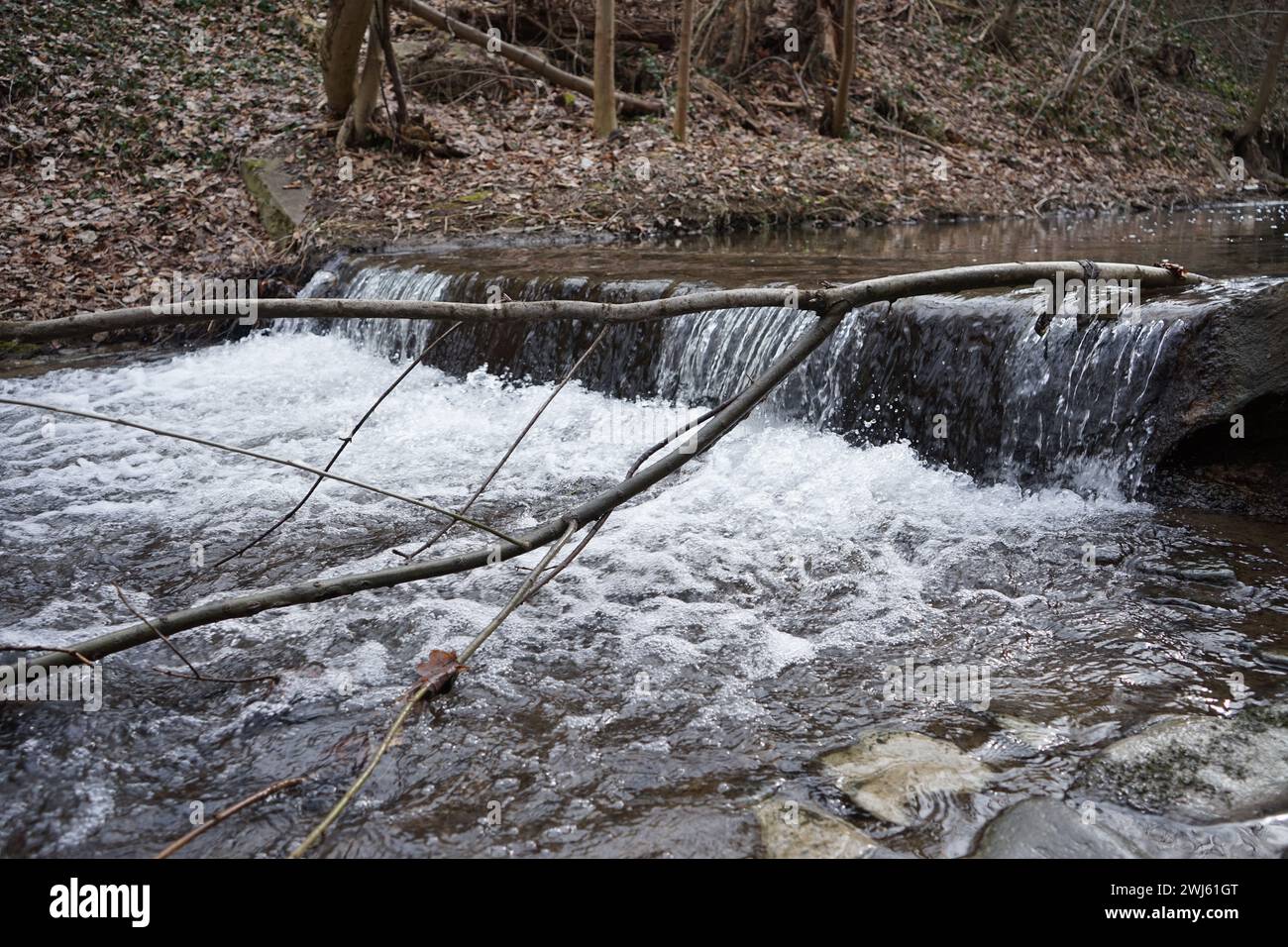 Una piccola cascata nel bosco Foto Stock