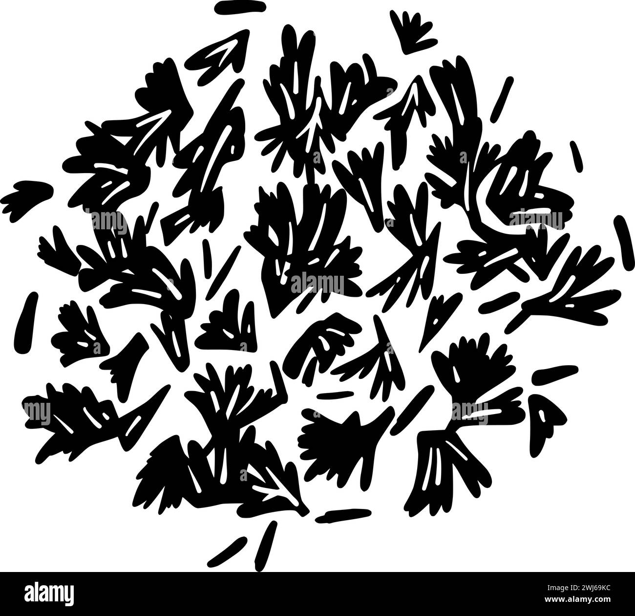 silhouette nera di coriandolo o semi piatti illustrazione del logo foglia coriandrum per foglie con icona del cibo e forma ingrediente pianta come erba da condimentare Illustrazione Vettoriale