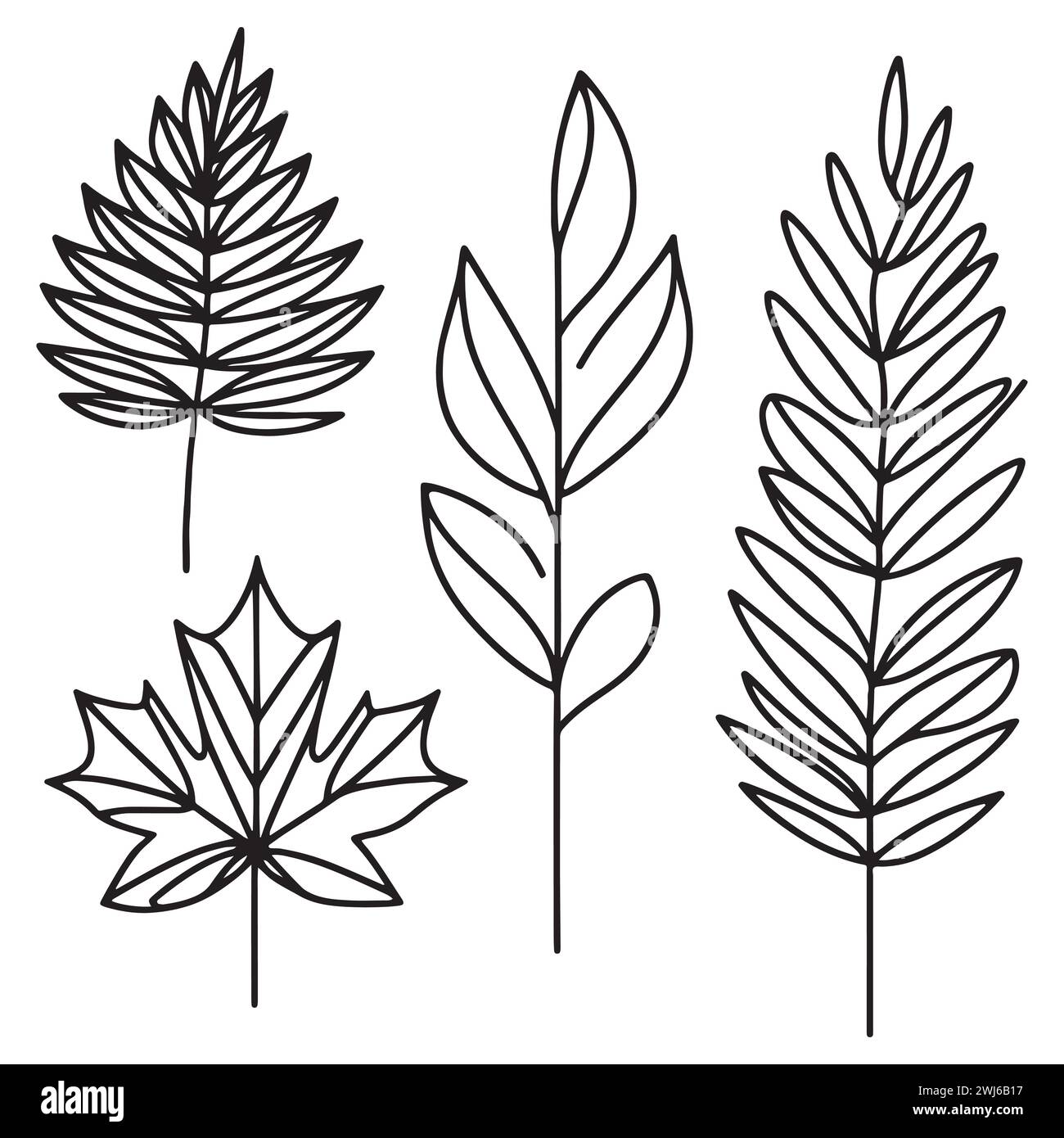 Un'illustrazione botanica minimalista con foglie: acero, palma e un albero a foglia. Le linee pulite e il design semplice creano un bagno moderno ed elegante Illustrazione Vettoriale