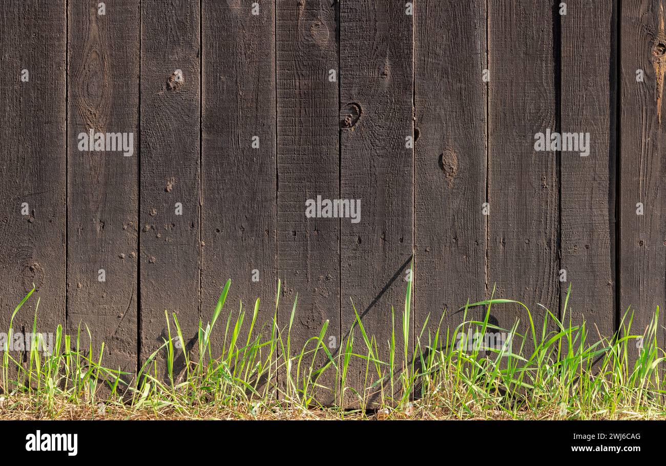 Recinzione di legno scuro con erba verde che cresce accanto ad essa. Foto Stock
