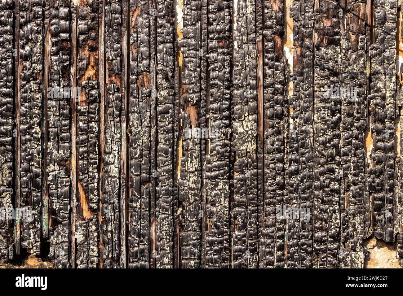 Recinzione in legno bruciato. La consistenza delle tavole di legno carbonizzato. Foto Stock