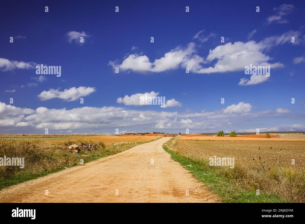 Un viaggio tranquillo: I sereni sentieri di Peñaranda de Duero (Castiglia e León, Spagna) Foto Stock