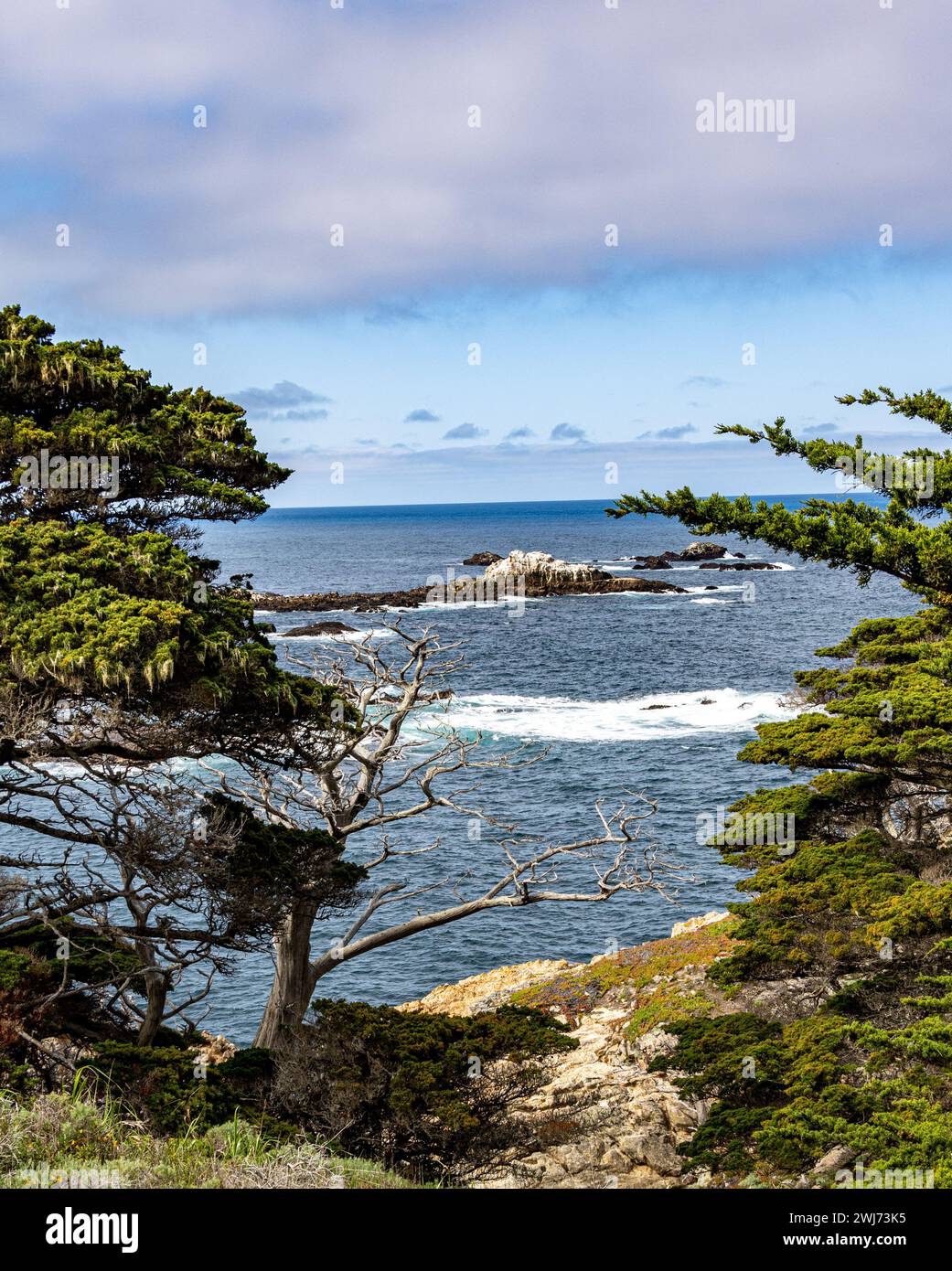 Costa della California del Pacifico occidentale con onde, acqua blu, alberi e nebbia Foto Stock