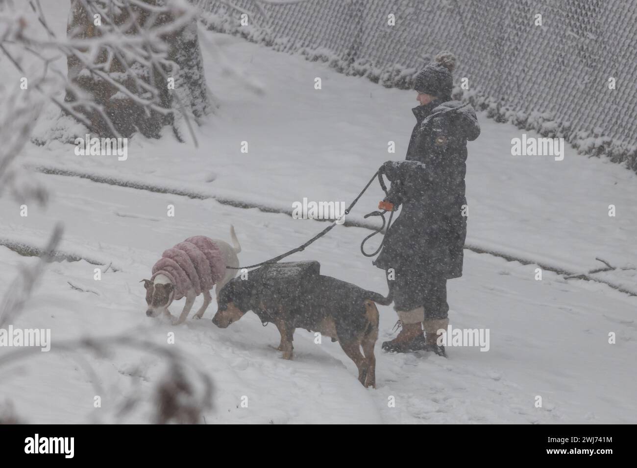 La neve è caduta e si è accumulata nella città di Jersey City nello stato del New Jersey negli Stati Uniti questo martedì 13. A partire dalla fine del 12 febbraio si prevede una forte nevicata in alcune zone del nord-est degli Stati Uniti, con alcune aree che raggiungono i 5 cm di neve all'ora, ha detto il National Weather Service Forecasters. Crediti: Brasile Photo Press/Alamy Live News Foto Stock