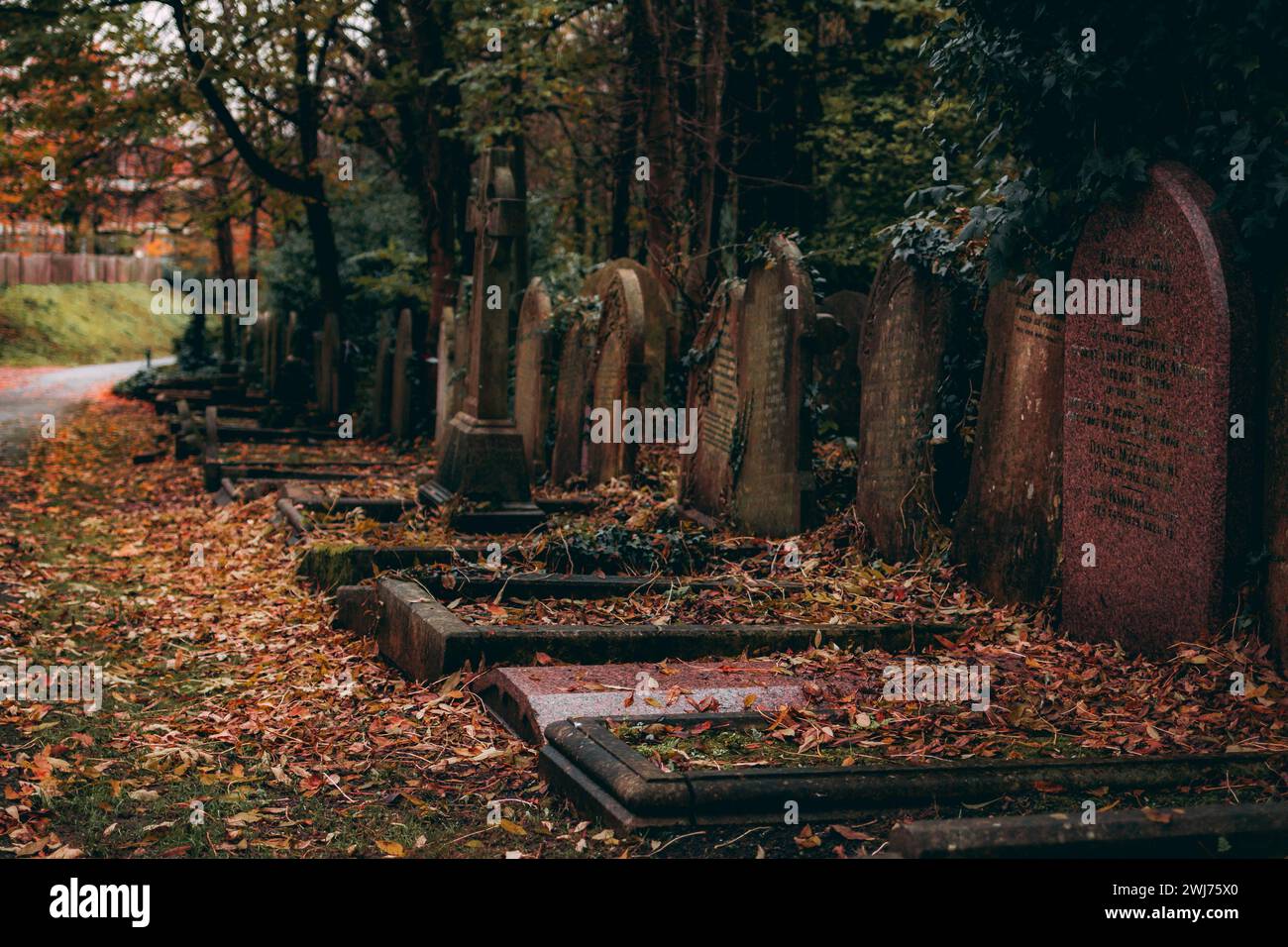 Un suggestivo cimitero con antiche pietre tombali, circondato da foglie cadute e alberi torreggianti Foto Stock