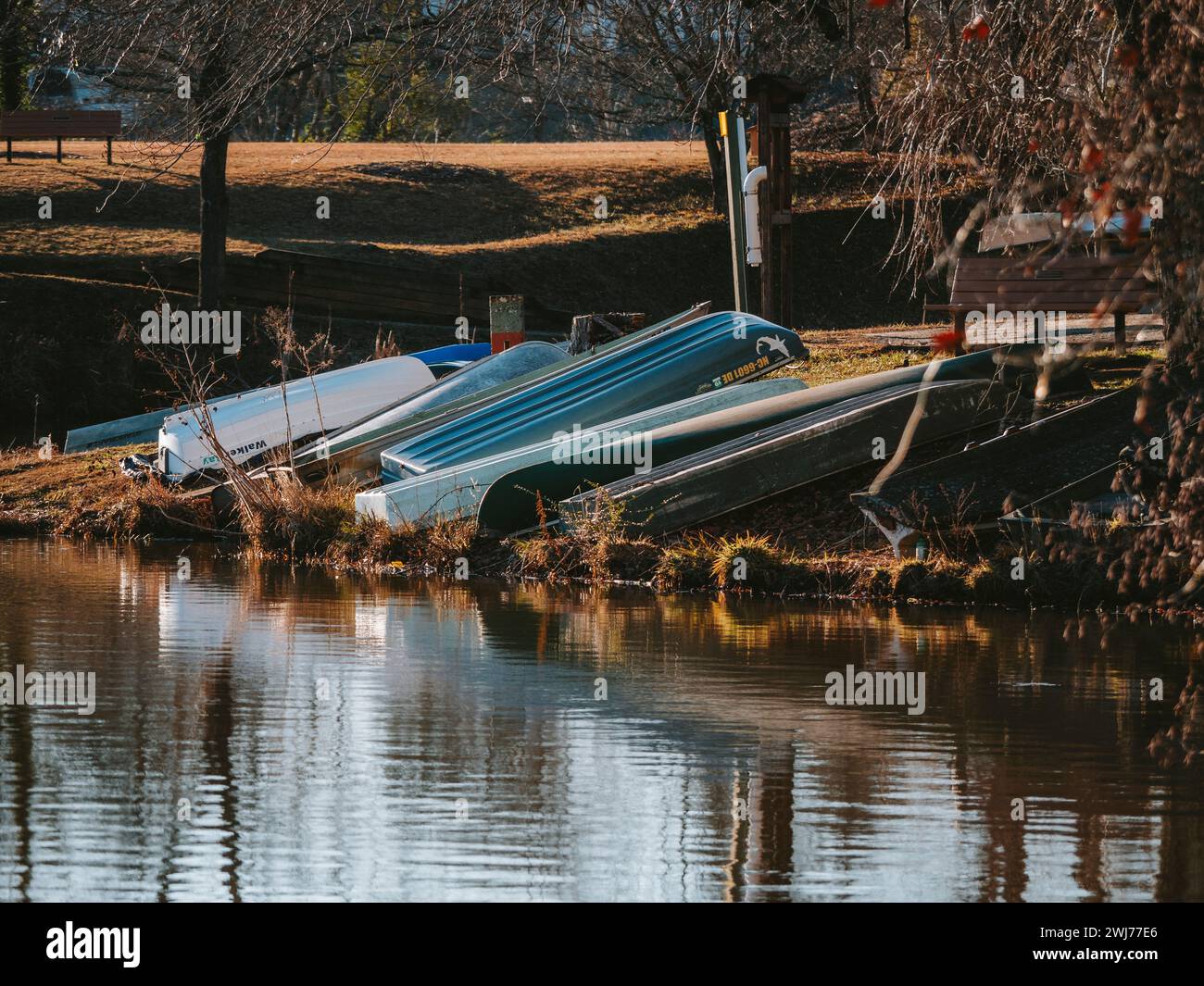 Numerose barche a remi ormeggiate sul lago in un tranquillo parco Foto Stock