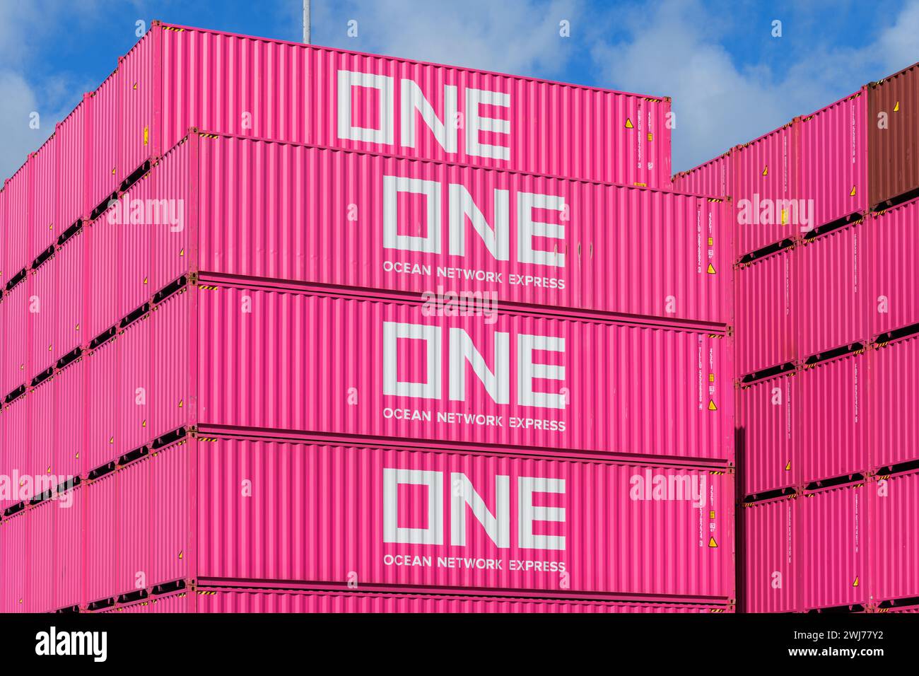 MAASVLAKTE, ROTTERDAM, PAESI BASSI - 17 MARZO 2019: Accattivanti contenitori di spedizione rosa della società Ocean Network Express (UNO) impilati in una Foto Stock