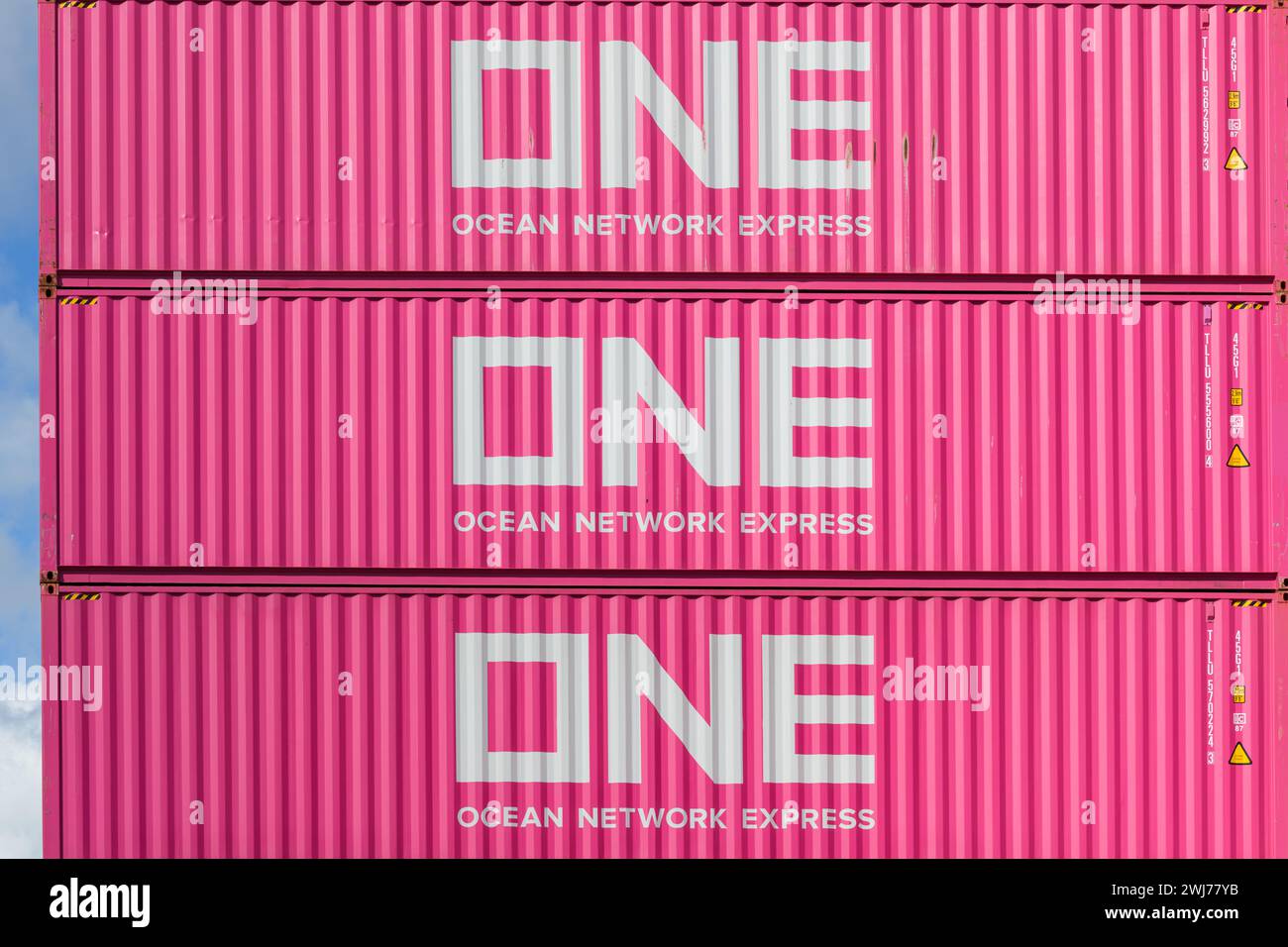 MAASVLAKTE, ROTTERDAM, PAESI BASSI - 17 MARZO 2019: Accattivanti contenitori di spedizione rosa della società Ocean Network Express (UNO) impilati in una Foto Stock