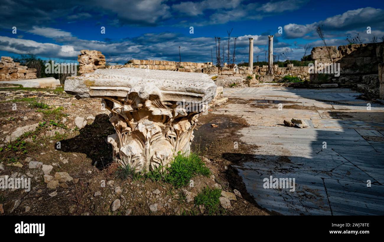 Rovine di pietra circondate da lussureggiante erba verde e alberi lontani Foto Stock