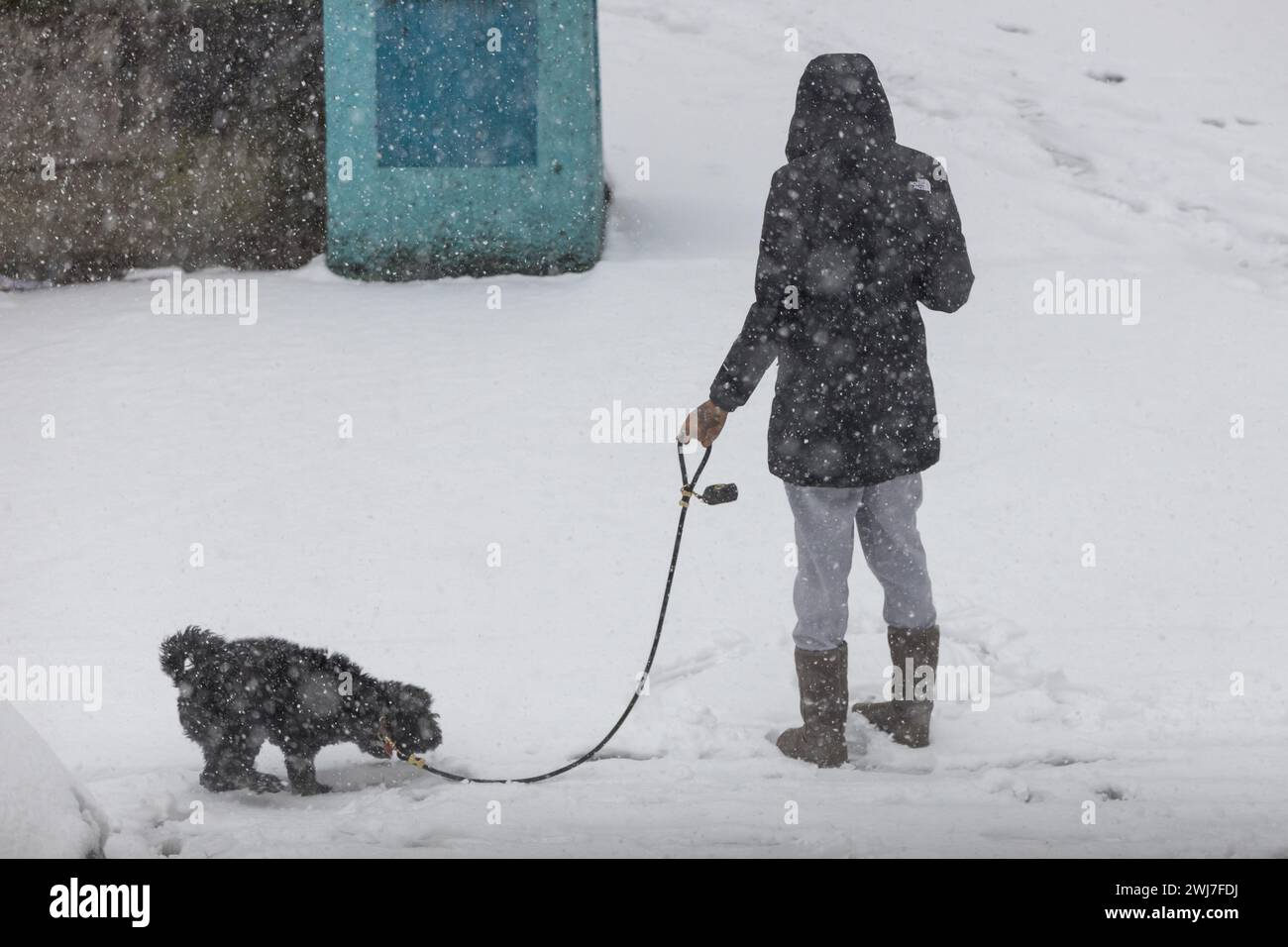 New York, New York, Stati Uniti. 13 febbraio 2024. La neve è caduta e si è accumulata nella città di Jersey City nello stato del New Jersey negli Stati Uniti questo martedì 13. A partire dalla fine del 12 febbraio si prevede una forte nevicata in alcune zone del nord-est degli Stati Uniti, con alcune aree che raggiungono i 5 cm di neve all'ora, ha detto il National Weather Service Forecasters. (Credit Image: © William Volcov/ZUMA Press Wire) SOLO PER USO EDITORIALE! Non per USO commerciale! Foto Stock