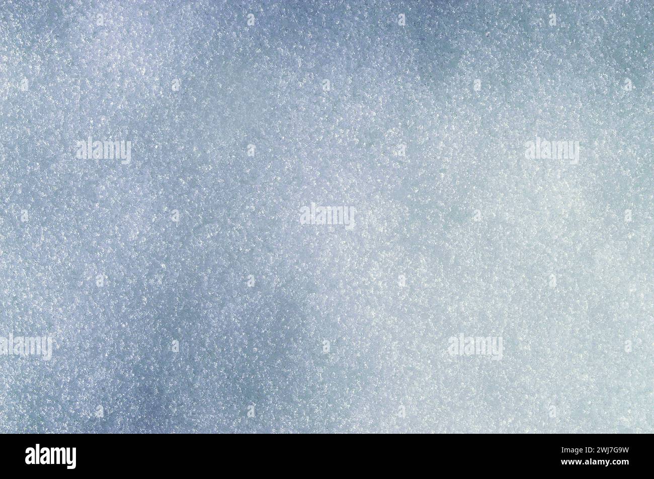 Superficie bianca fresca e pulita dello sfondo. Sfondo invernale con fiocchi di neve ghiacciati e tumuli di neve. Grumi di neve. Dettagli del paesaggio stagionale. Piaga fredda Foto Stock