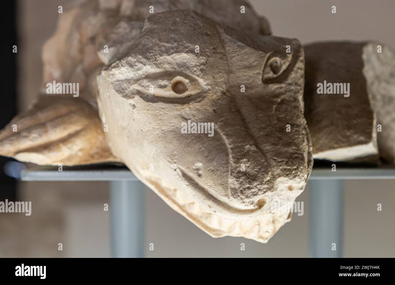 Testa di drago presso la galleria in gesso del Castello Normanno Svevo Bari, Puglia, Italia meridionale, Europa, Foto Stock