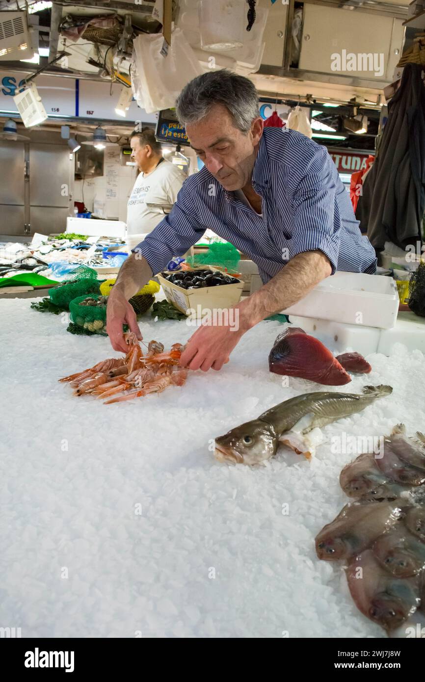 Pescivendolo che organizza il suo pesce prima di aprire il suo chiosco nel vecchio mercato centrale dell'Abaceria, Barcellona Foto Stock
