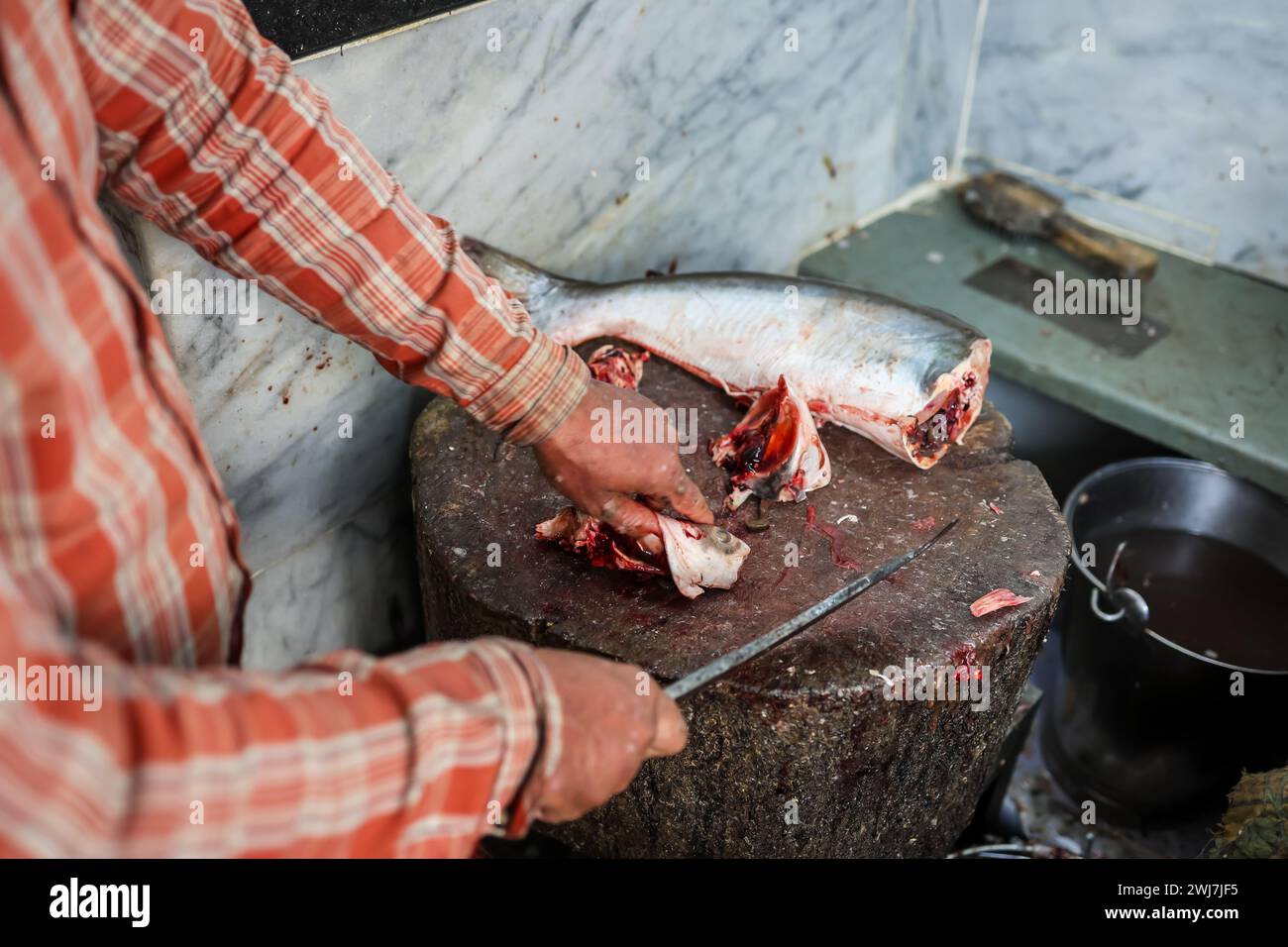 pesce fresco tagliato al dettaglio per la vendita al dettaglio in giornata da diverse angolazioni Foto Stock