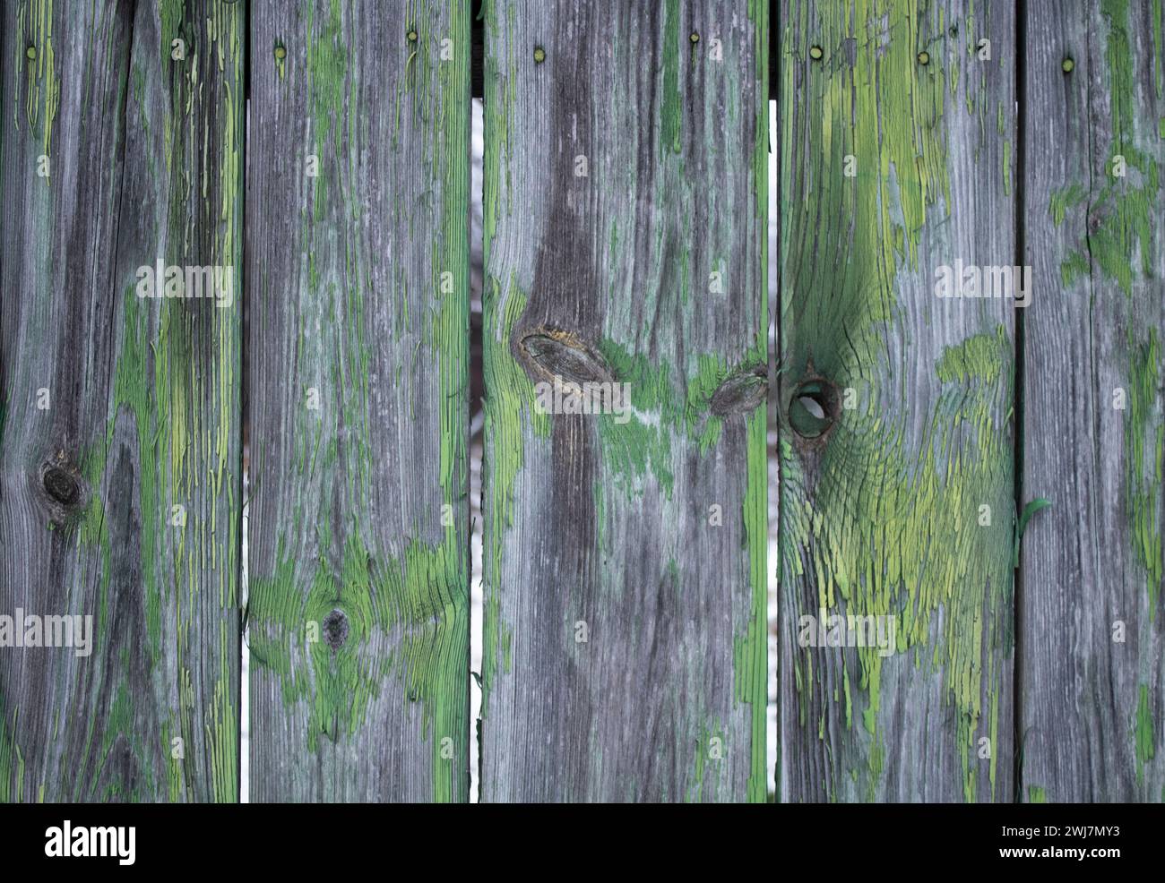 Vecchie tavole di legno con vernice verde sbucciante. Struttura in legno. Foto Stock