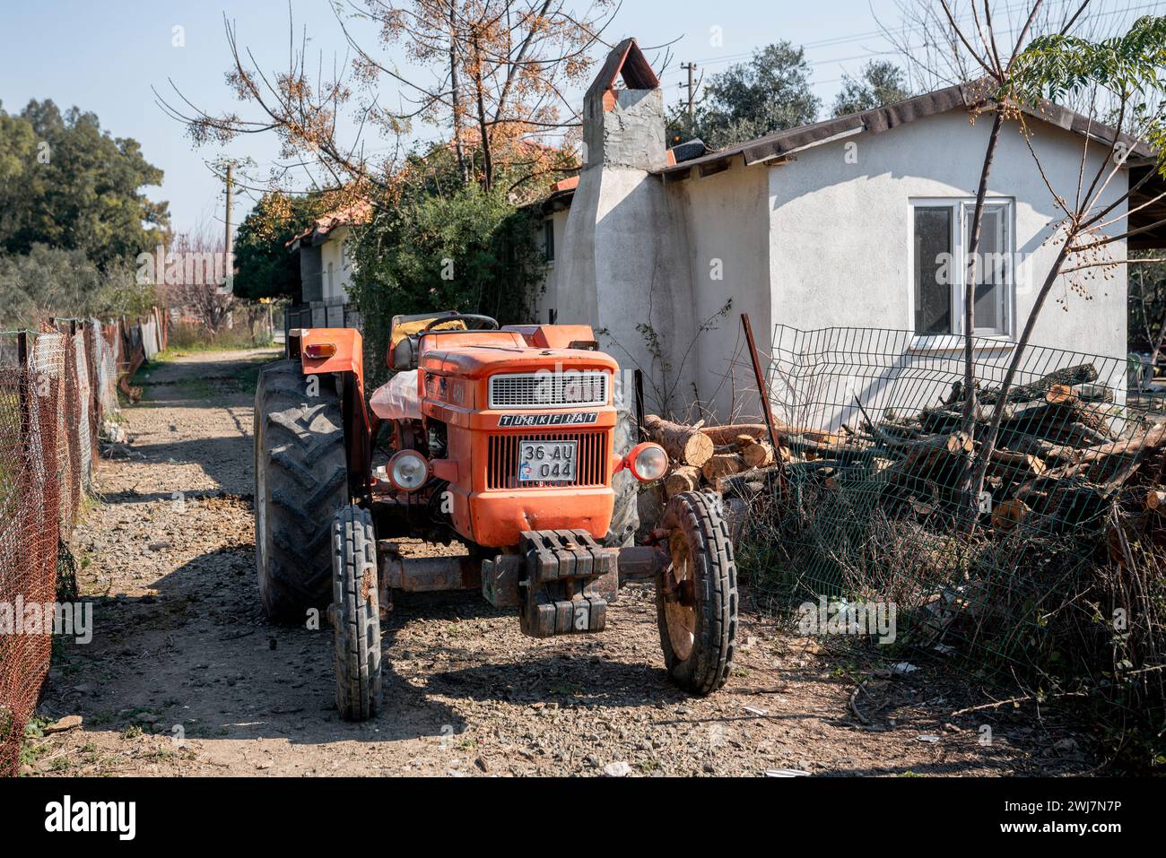 Arancione in mezzo al verde: Uno sguardo sull'armonia rurale di Dalyan Foto Stock