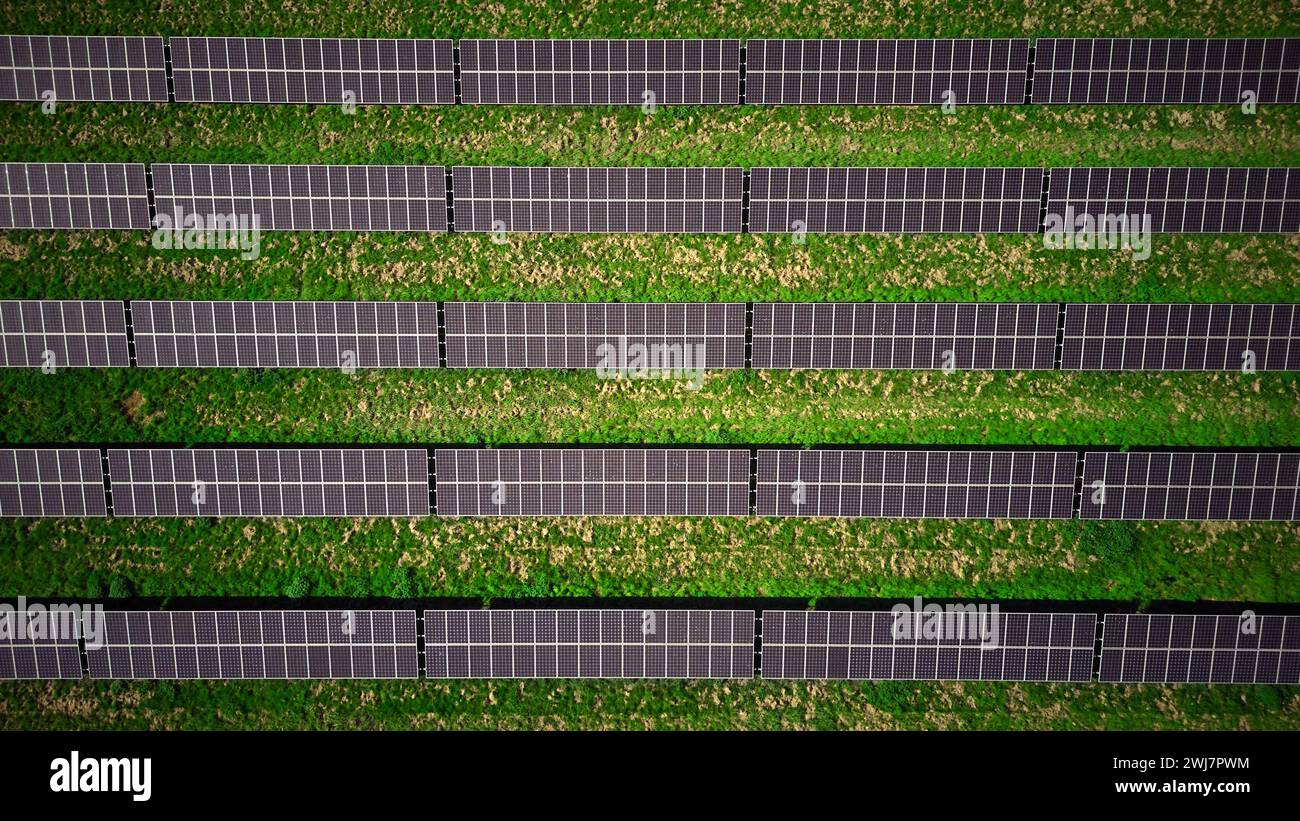 Drone aereo di pannelli solari in campo che generano energia rinnovabile sostenibile Foto Stock