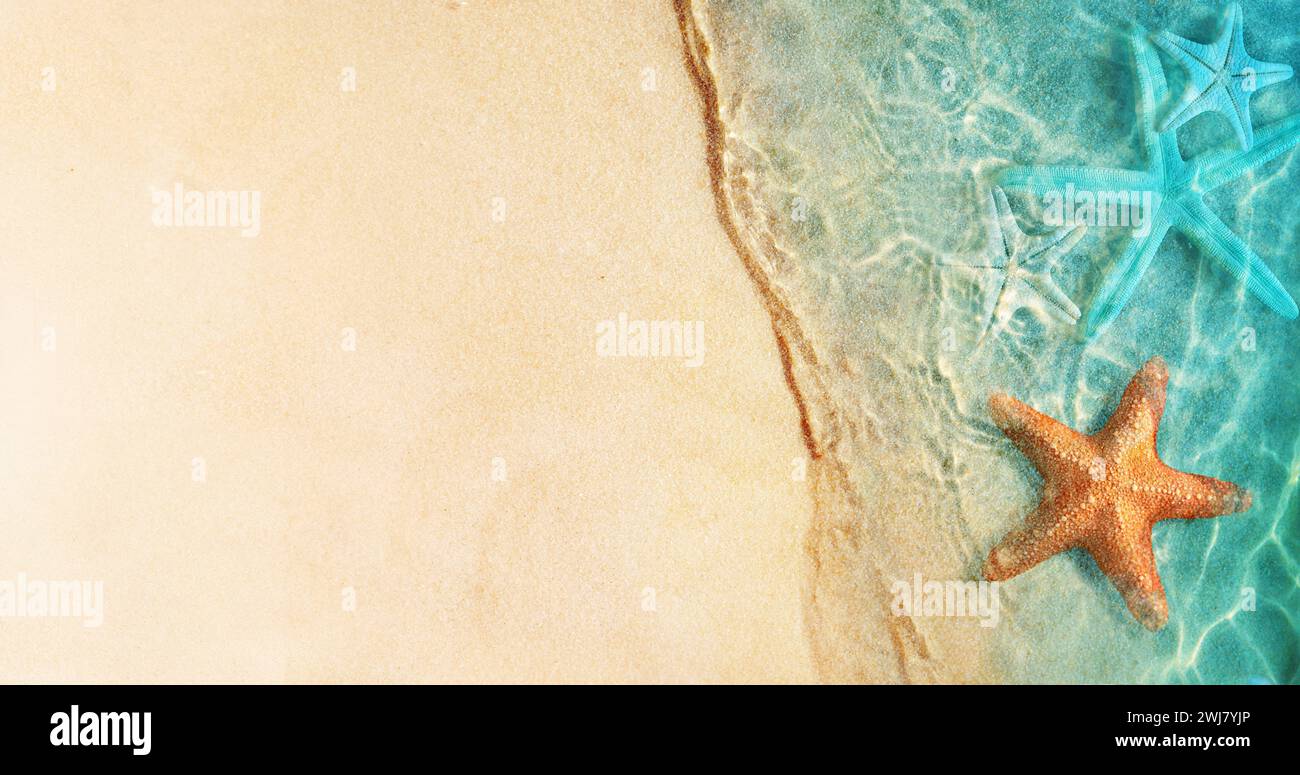 Stella di mare sulla spiaggia di estate in acqua di mare. Estate sfondo. L'estate. Foto Stock