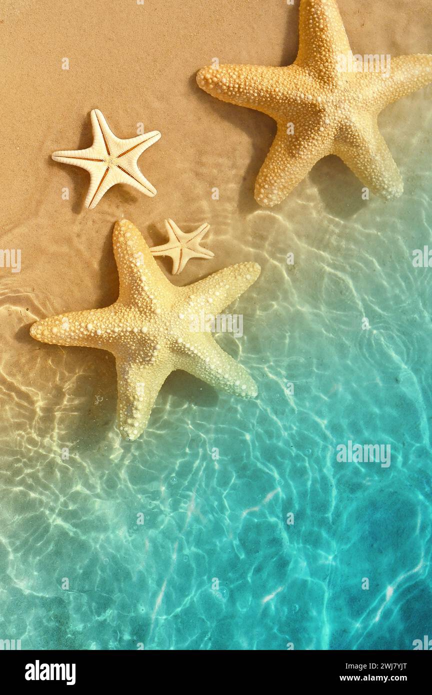 Stella di mare sulla spiaggia di estate in acqua di mare. Estate sfondo. L'estate. Foto Stock