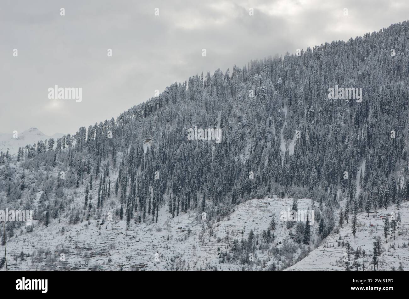 Nevicata in immagini di kaghan Foto Stock