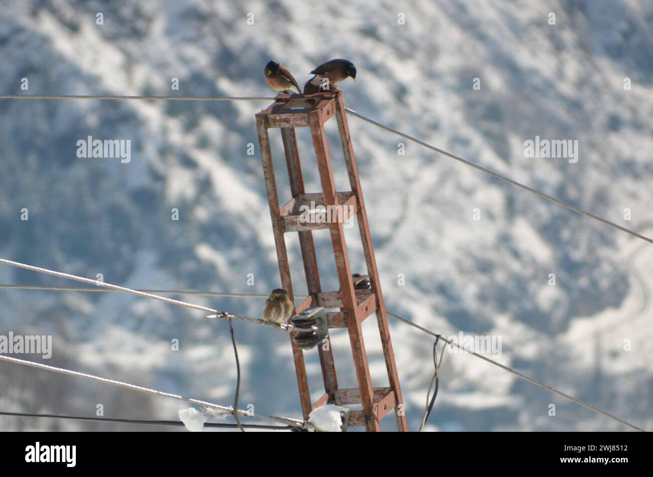 giorno di sole dopo la caduta di neve pesante nelle immagini del kaghan naran Foto Stock