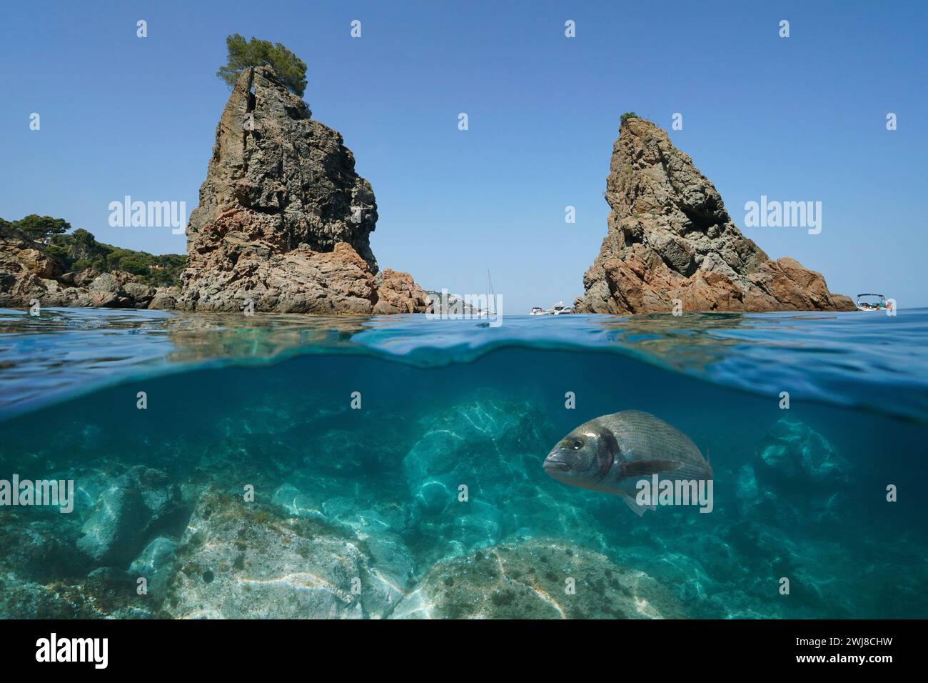 Spagna Costa Brava, isolotti rocciosi costieri nel Mar Mediterraneo con un pesce sott'acqua, vista divisa a metà sulla superficie e sott'acqua, scenario naturale Foto Stock