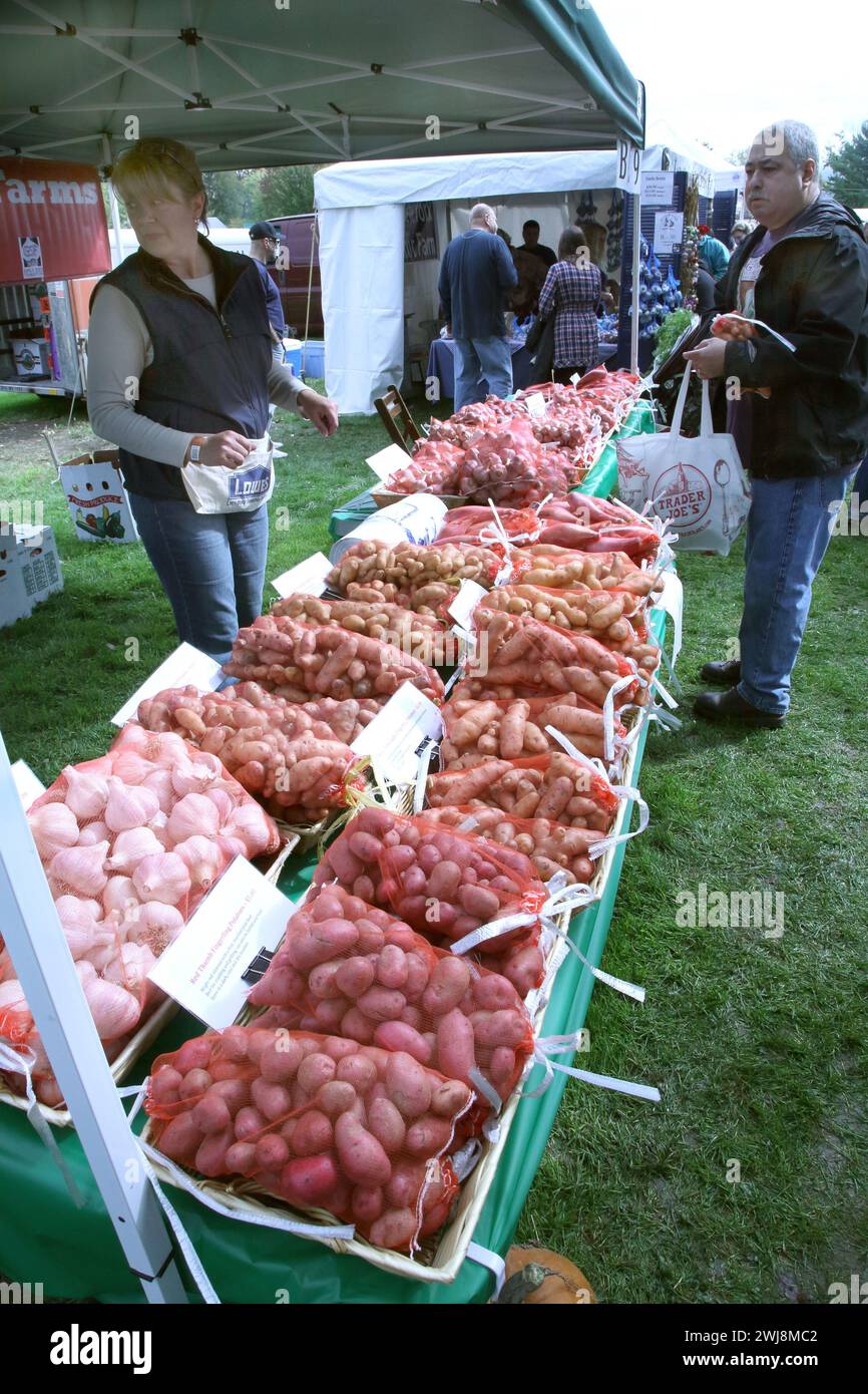 Venditore di aglio all'Hudson Valley Garlic Festival, Saugerties, New York Foto Stock