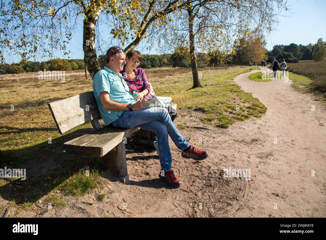 Wanderer in der Westruper Heide, Heidelandschaft bei Haltern am SEE, Naturpark Hohe Mark Westmünsterland, NRW, Deutschland Westruper Heide *** escursionismo nella Westruper Heide, brughiera vicino a Haltern am SEE, Hohe Mark Nature Park Westmünsterland, NRW, Germania Westruper Heide Foto Stock