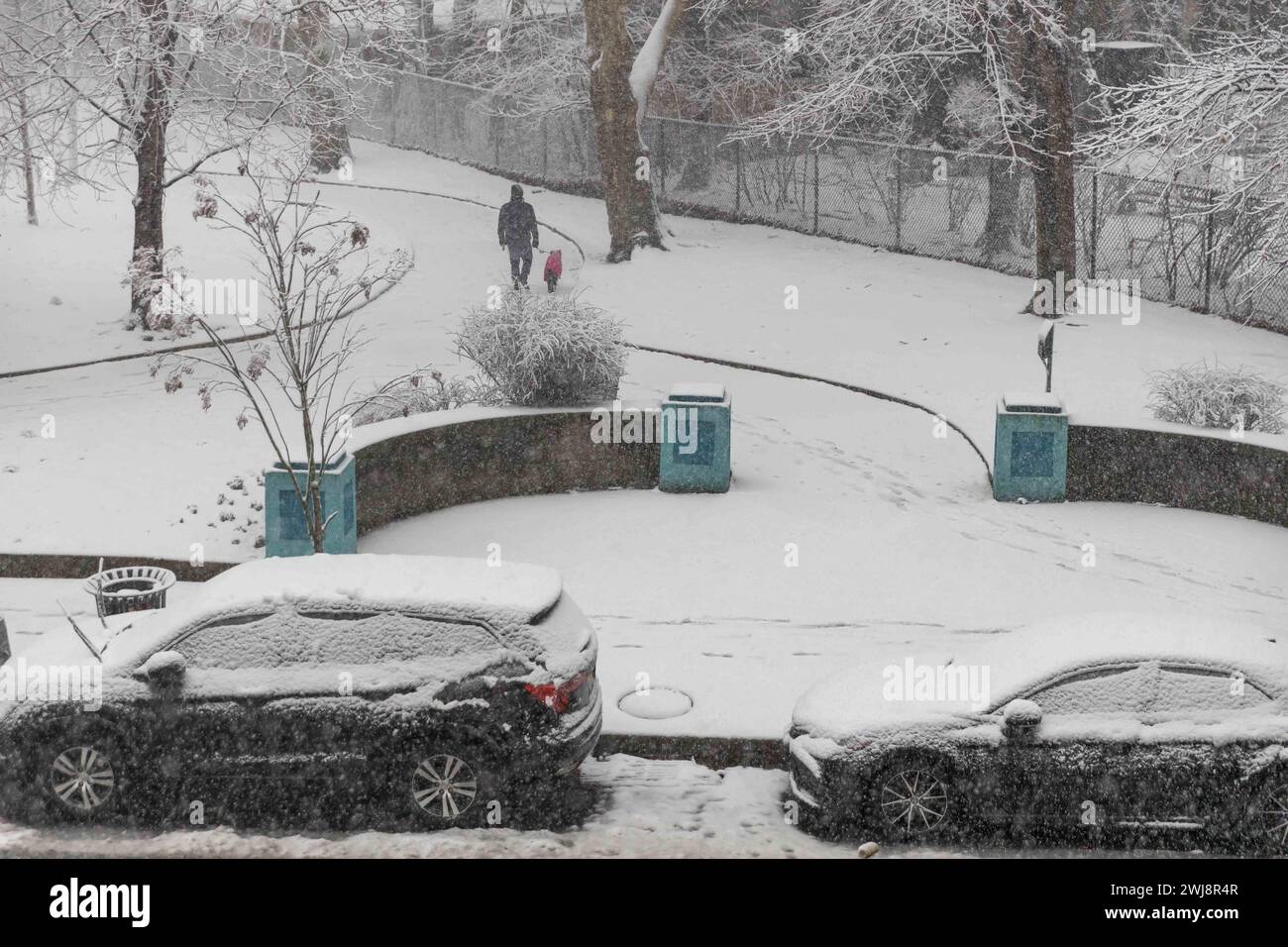 New York, New York, Stati Uniti. 13 febbraio 2024. La neve è caduta e si è accumulata nella città di Jersey City nello stato del New Jersey negli Stati Uniti questo martedì 13. A partire dalla fine del 12 febbraio si prevede una forte nevicata in alcune zone del nord-est degli Stati Uniti, con alcune aree che raggiungono i 5 cm di neve all'ora, ha detto il National Weather Service Forecasters. (Credit Image: © William Volcov/ZUMA Press Wire) SOLO PER USO EDITORIALE! Non per USO commerciale! Foto Stock
