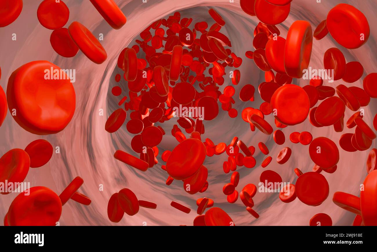 Le cellule del sangue fluiscono attraverso la vena. Le cellule del sangue fluiscono attraverso la vena. Emoglobina, globulo, flusso sanguigno, plasma sanguigno, arterie. Illustrazione 3D. Foto Stock