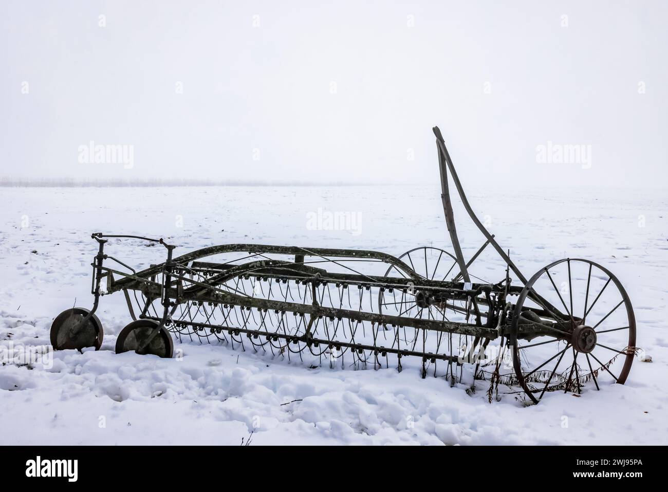 Vecchio rastrello di fieno nella contea di Mecosta, ancora utilizzato come attrezzo trainato da cavalli da un agricoltore Amish, Michigan, USA Foto Stock